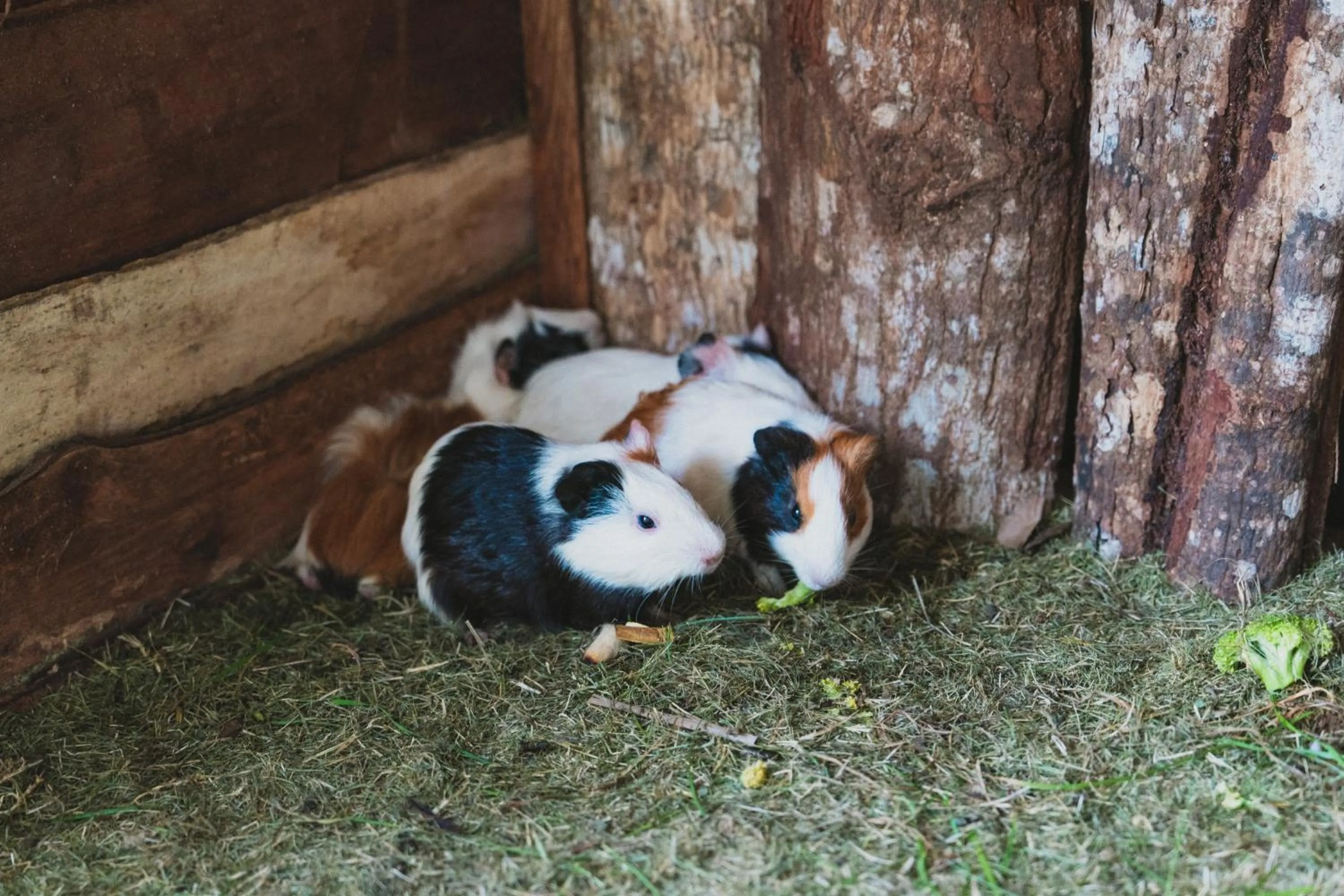 Activities in Pullman Bali Legian Beach