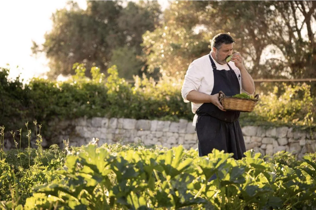 Restaurant/places to eat in Masseria San Paolo Grande