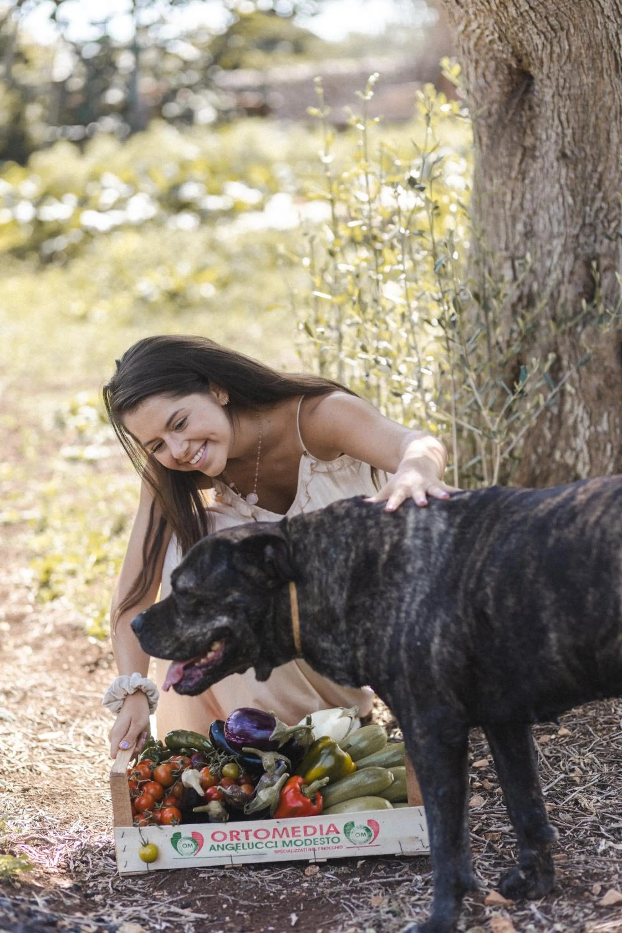 Masseria San Paolo Grande