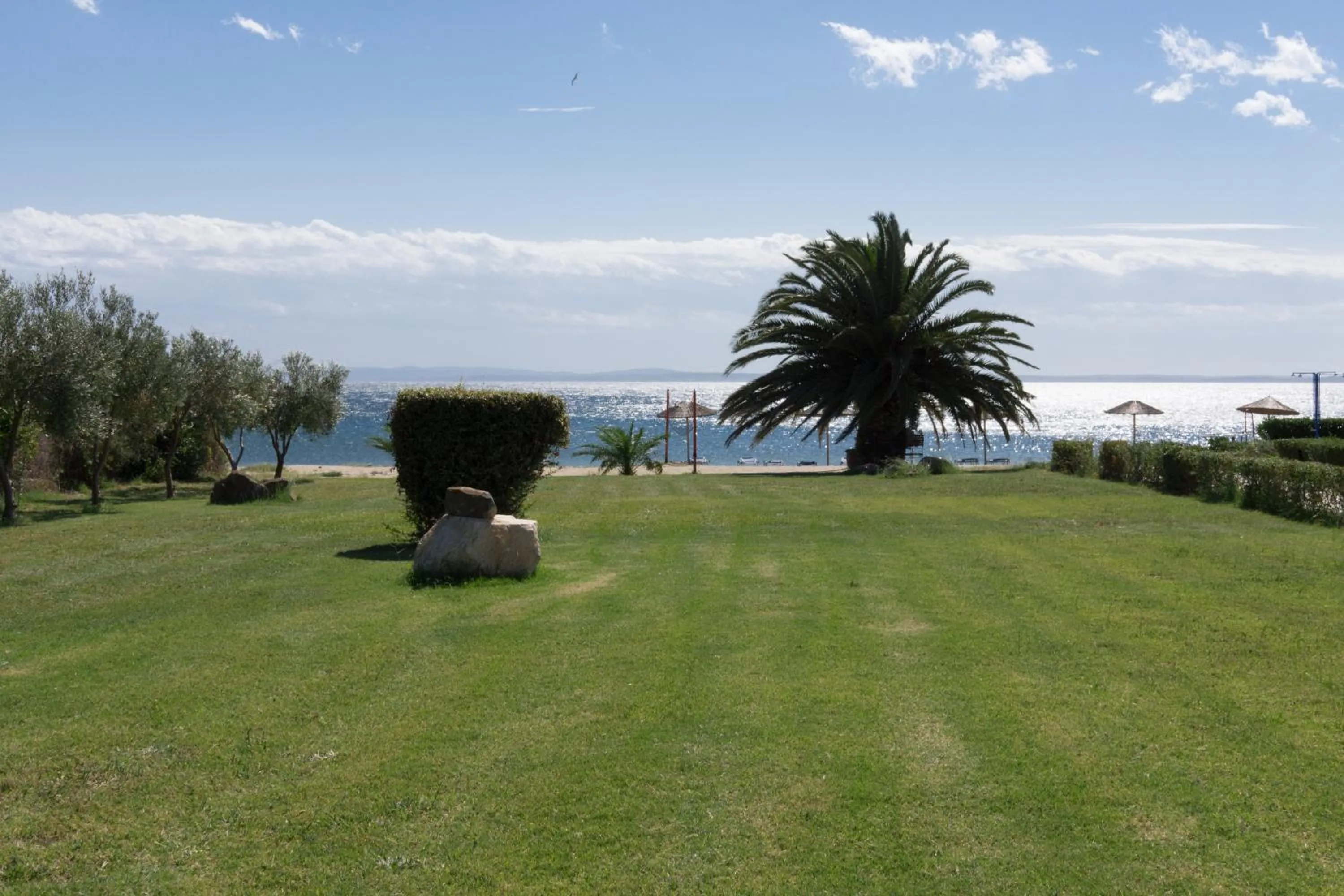 Garden in Alkinoos Beach Hotel