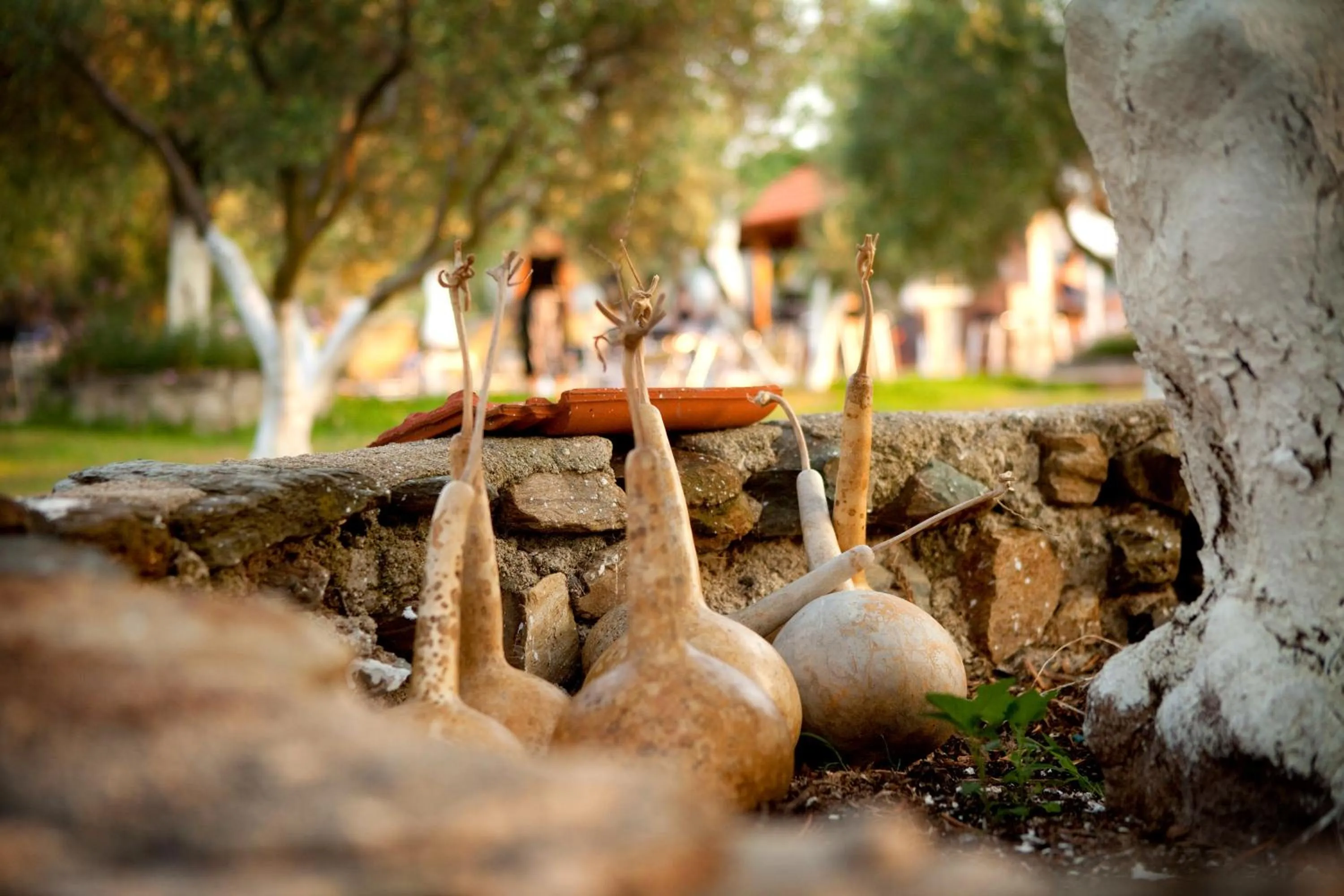 Garden in Haus Risos Next Generation