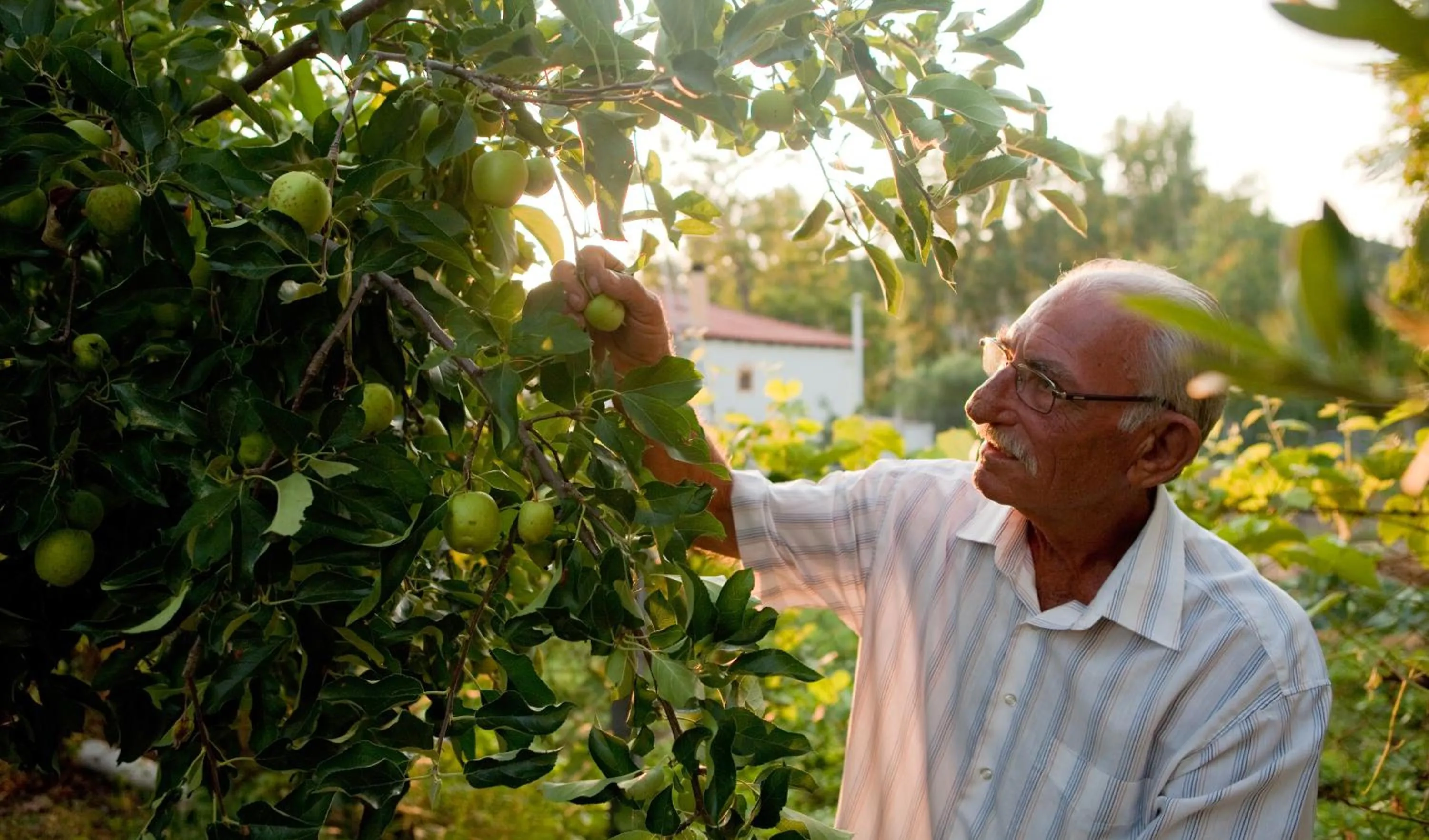Garden in Haus Risos Next Generation
