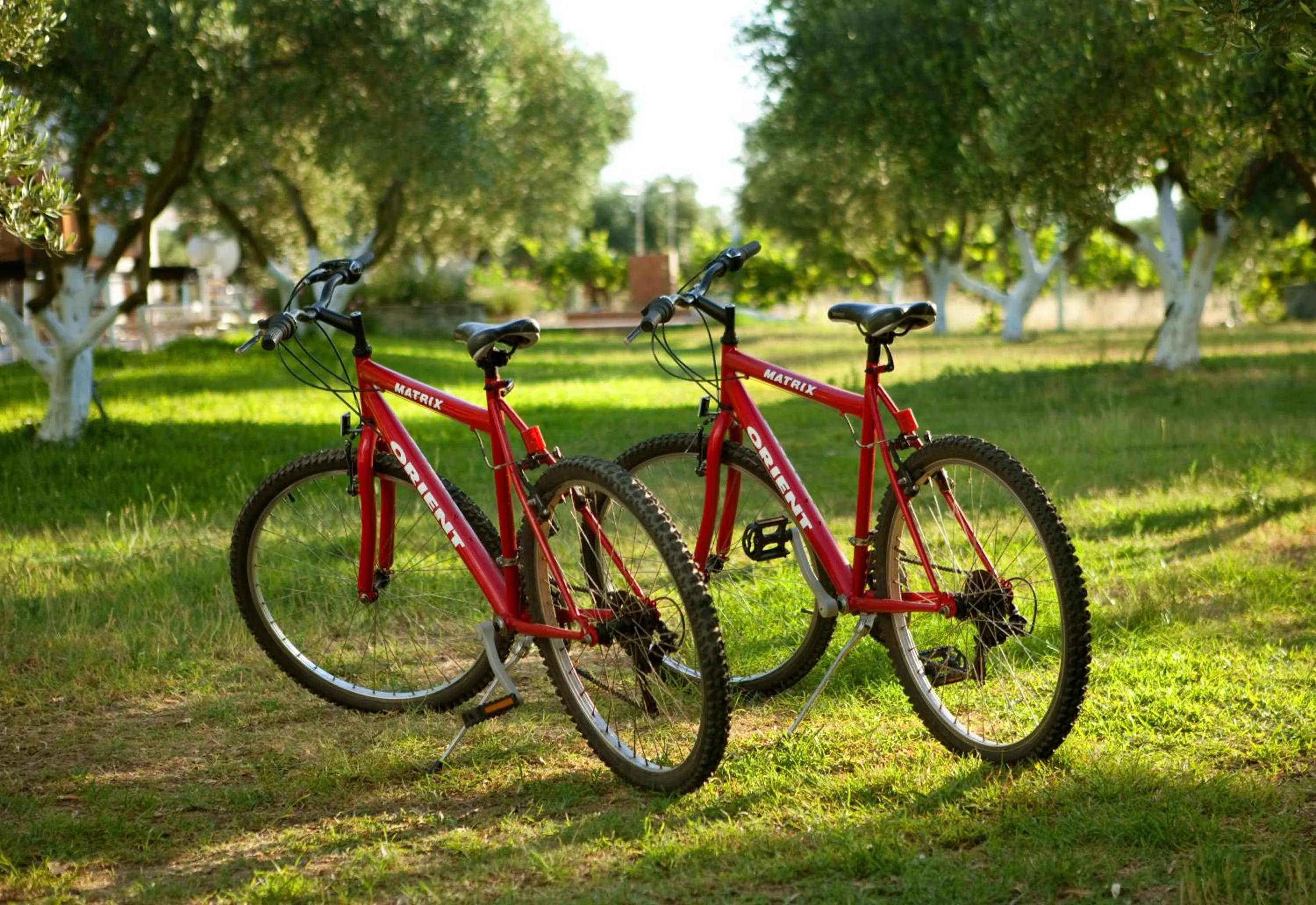 Facade/entrance in Haus Risos Next Generation