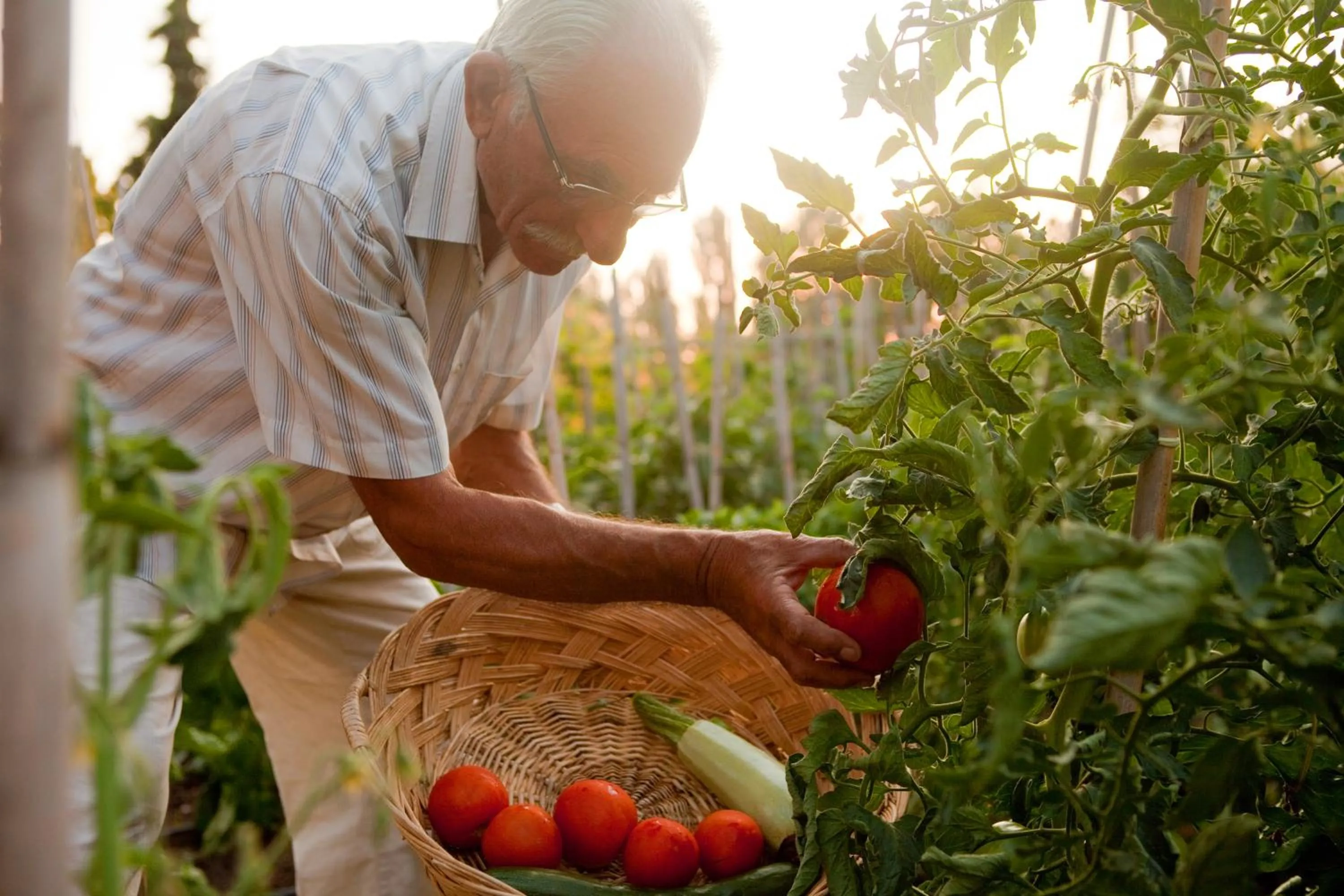 Garden in Haus Risos Next Generation