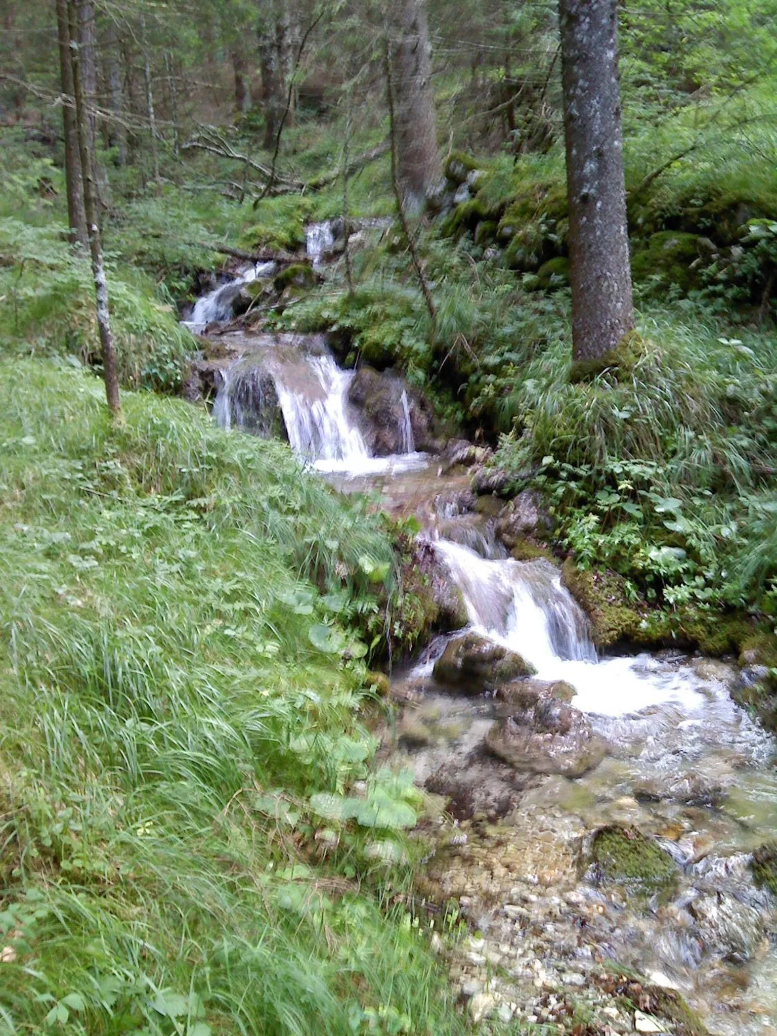 Other in Hotel Due Spade