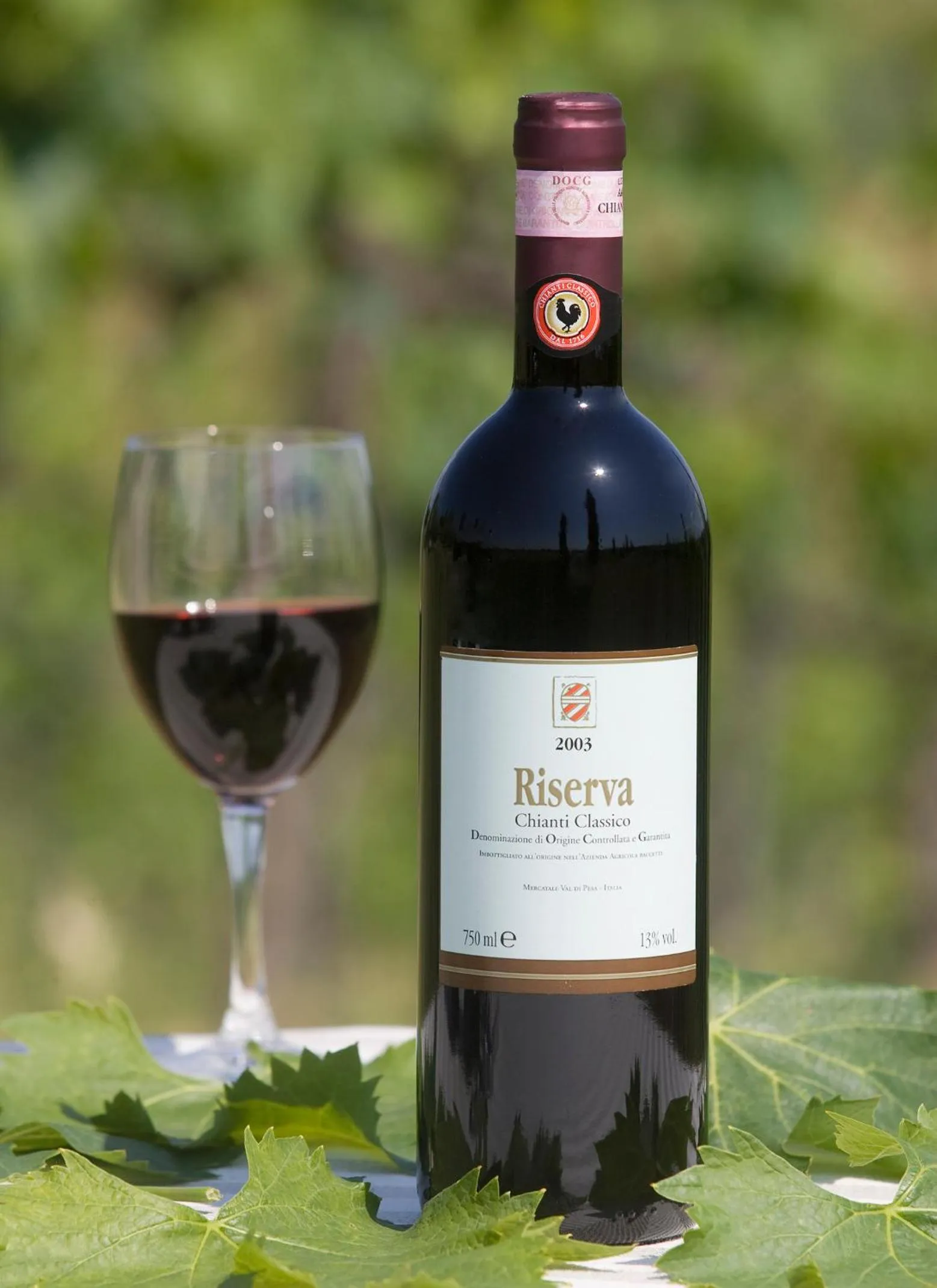 Drinks in Salvadonica