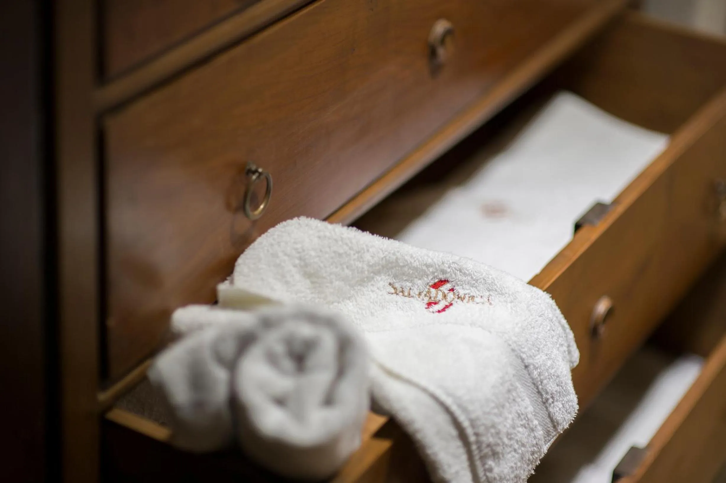 Decorative detail in Salvadonica