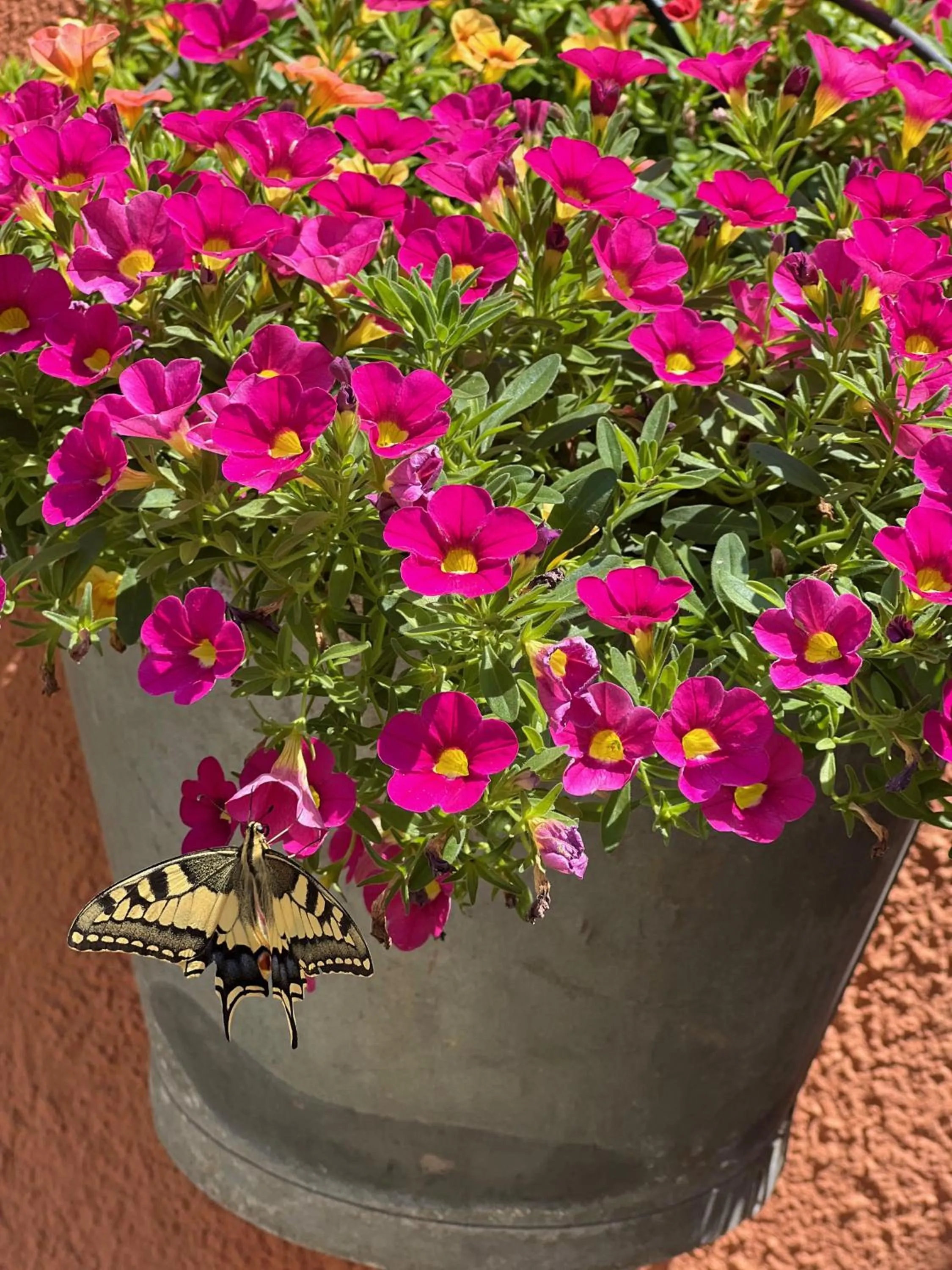 Les Vinyes Alojamiento Rural Boutique & SPA