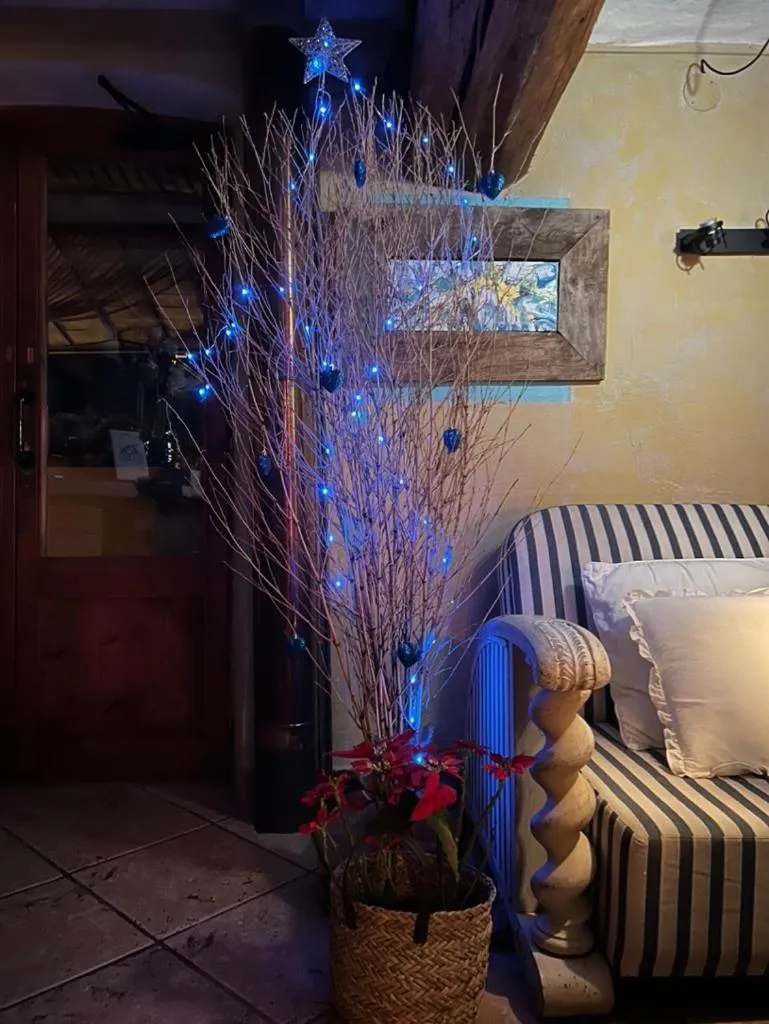 Les Vinyes Alojamiento Rural Boutique & SPA