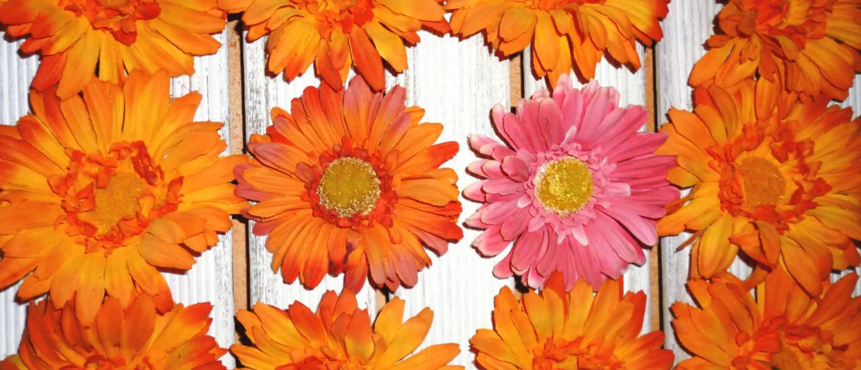 Les Vinyes Alojamiento Rural Boutique & SPA