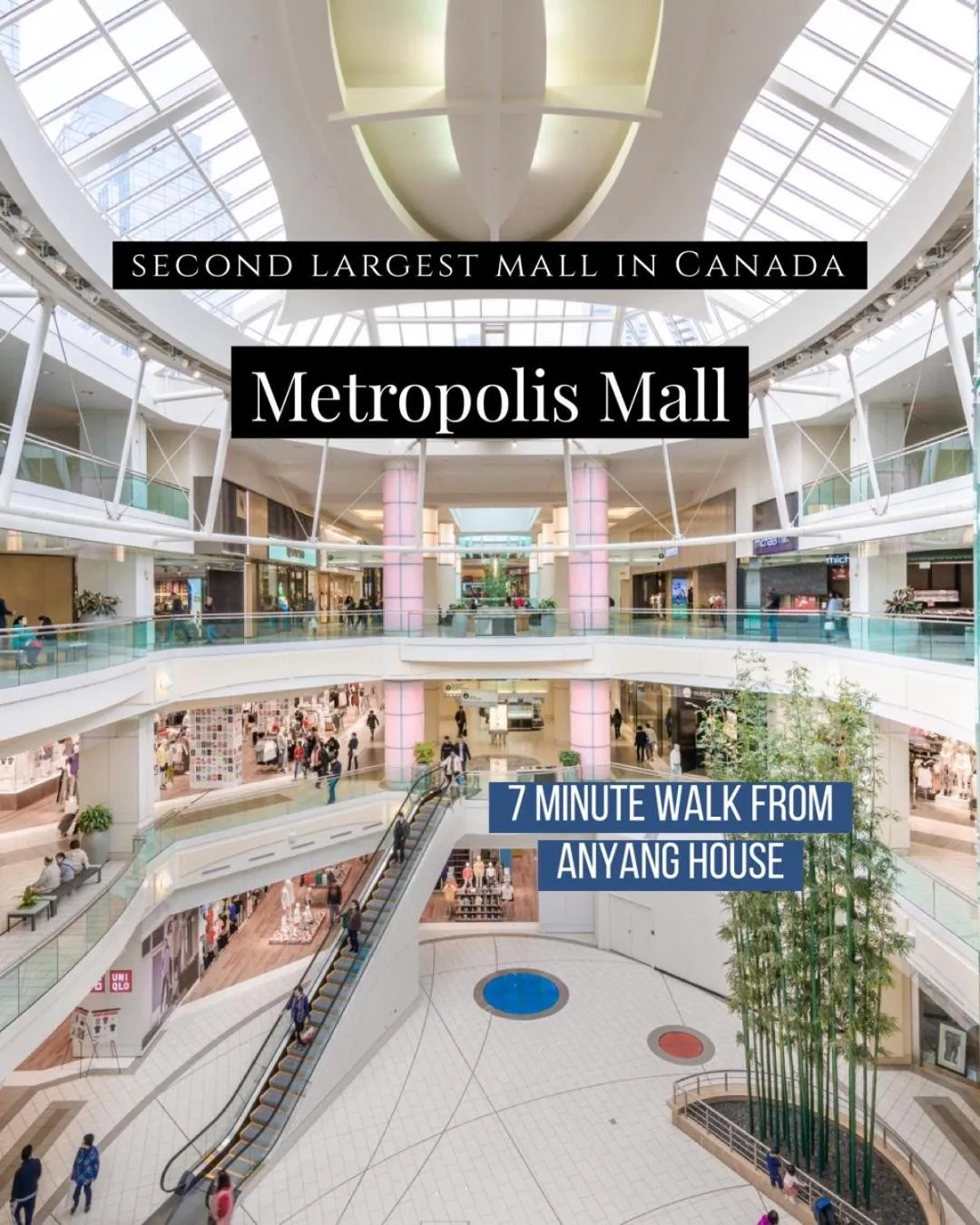 Shopping Area in An Yang House