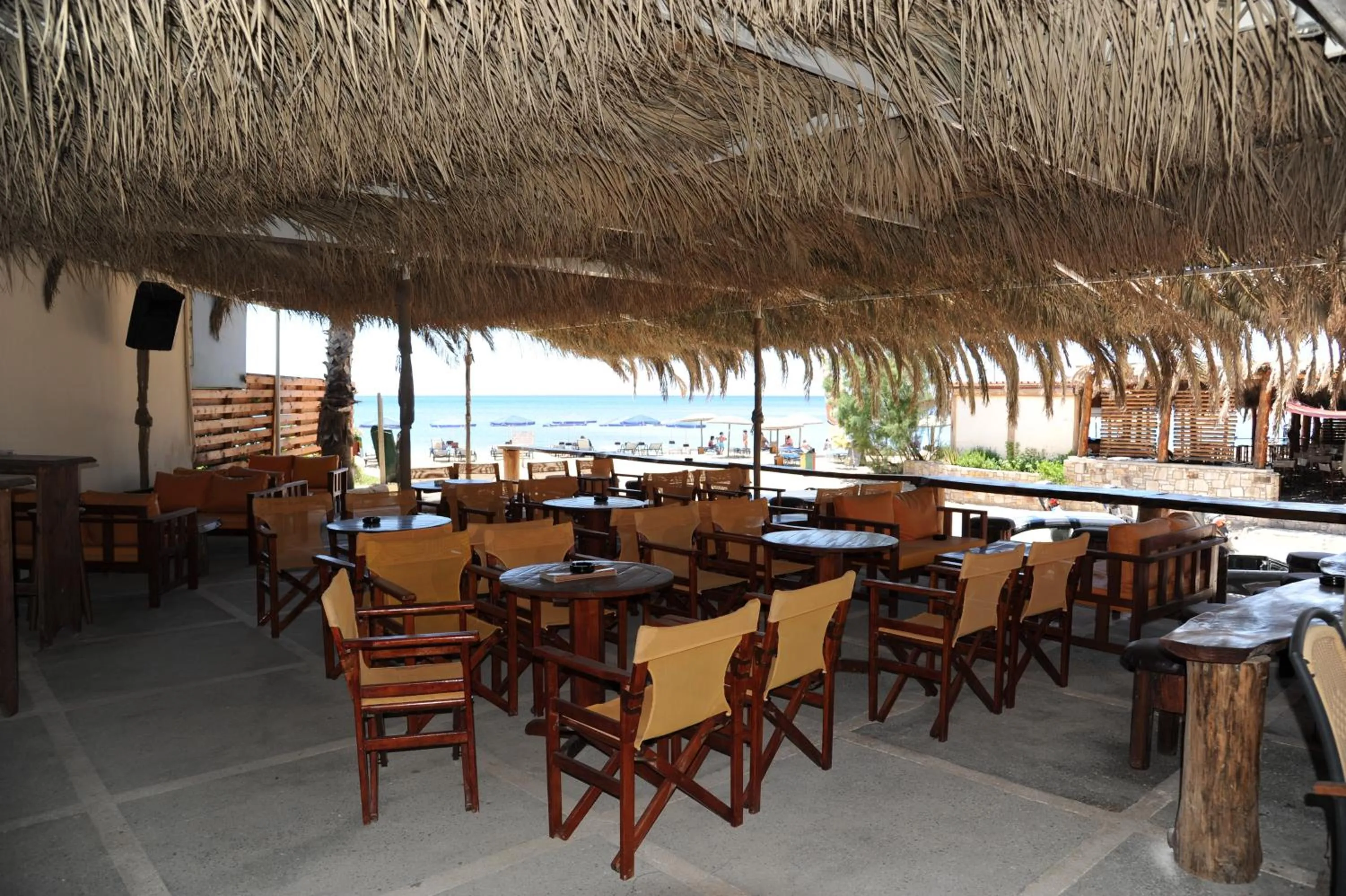 Restaurant/places to eat in Apollon (ex. Albatros)