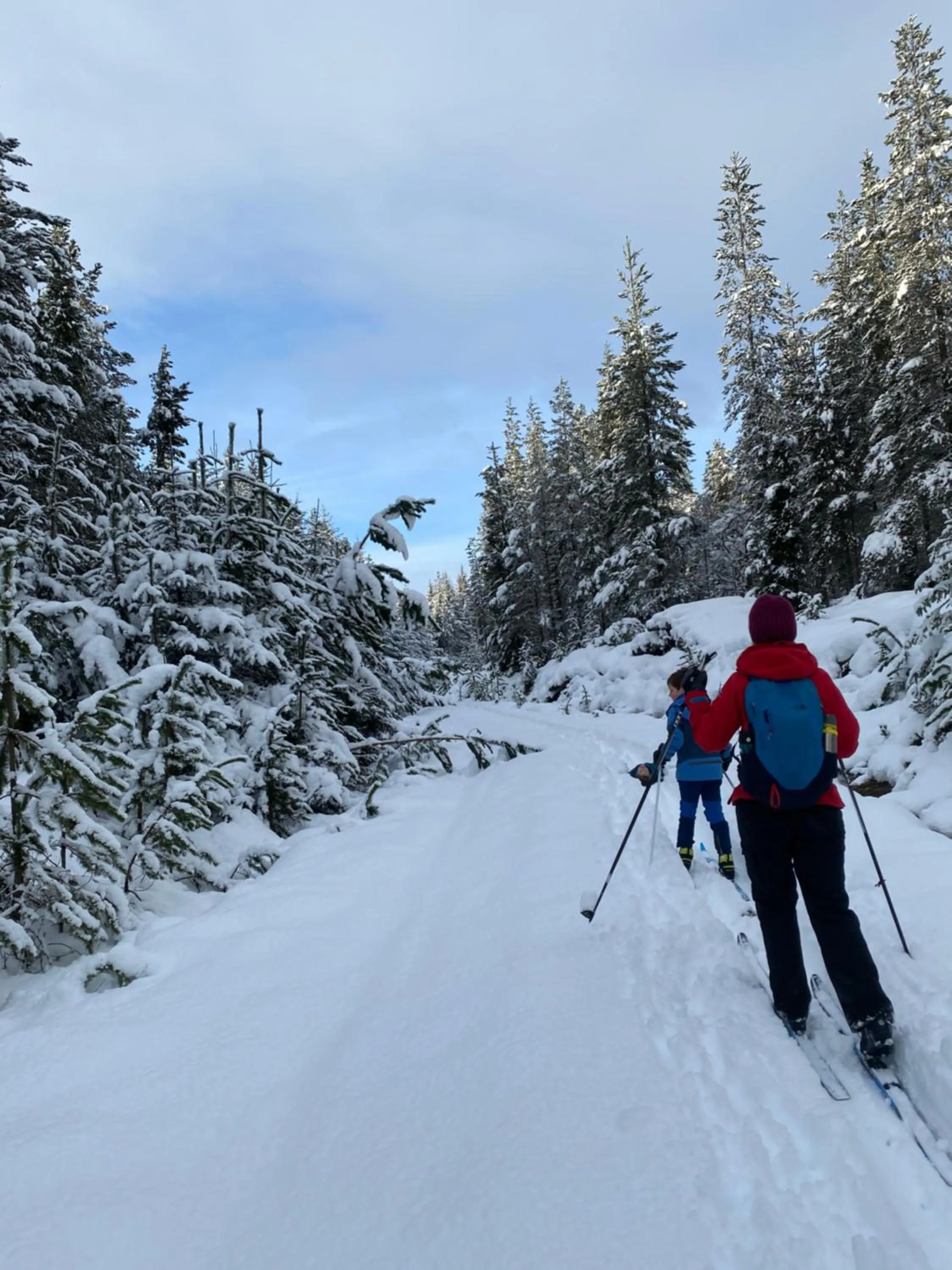Ravenscraig Guest House