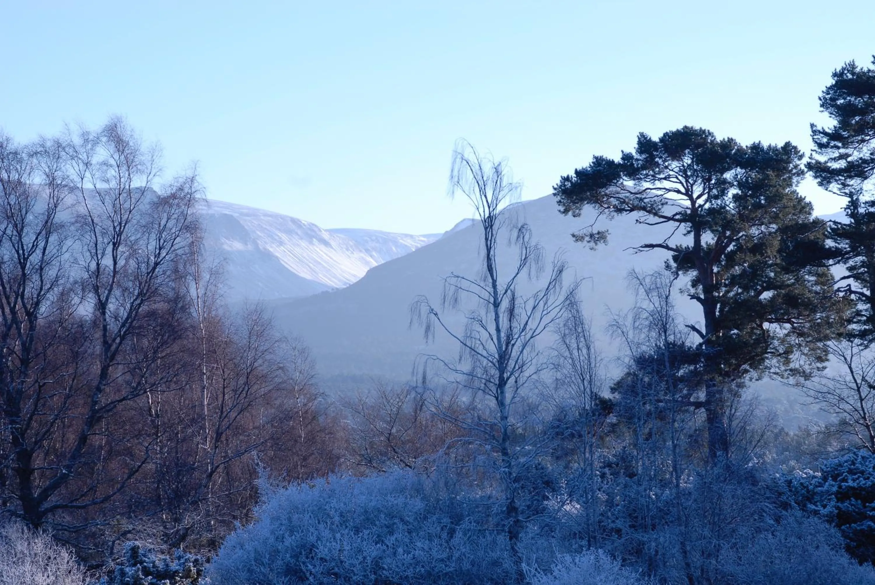 Ravenscraig Guest House