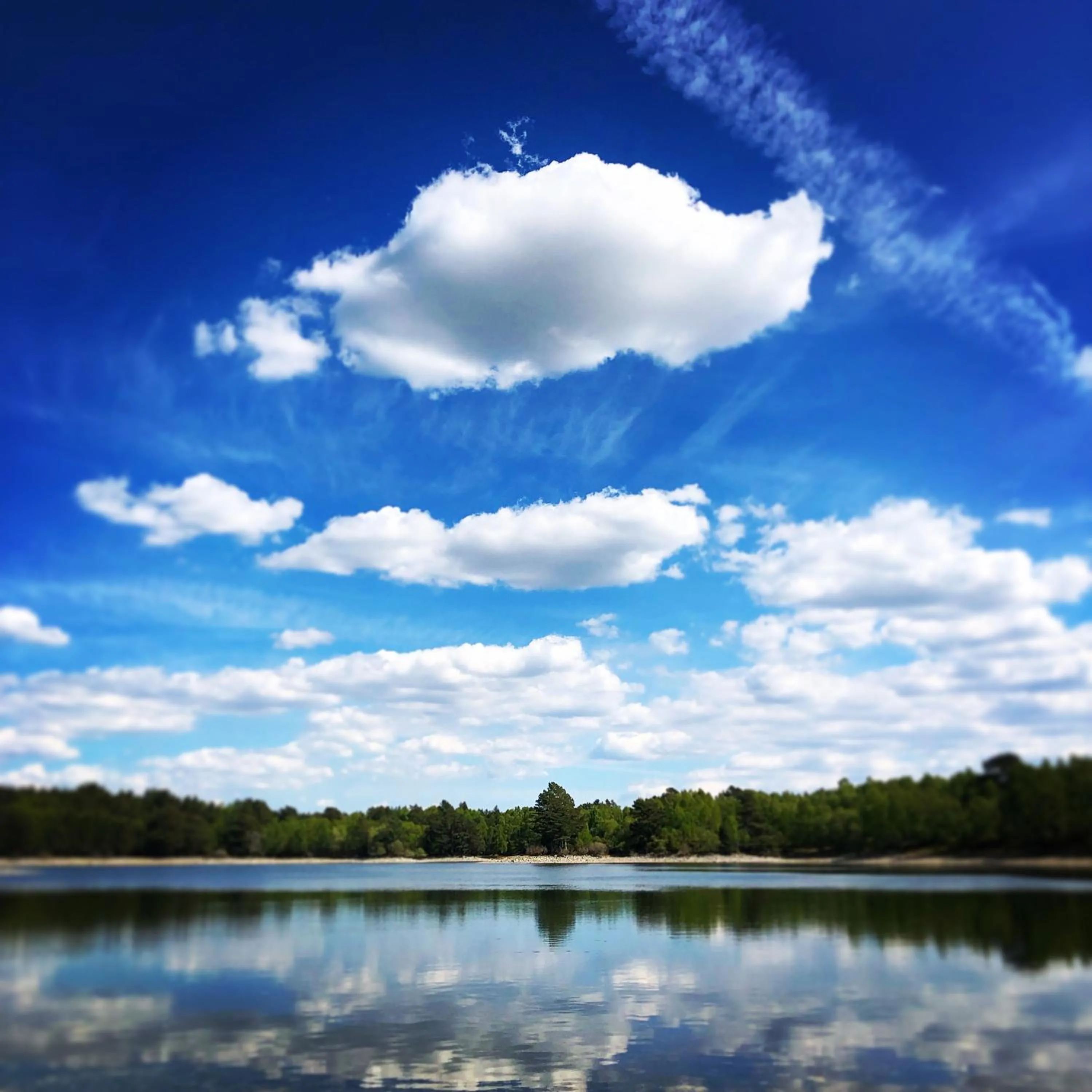 Ravenscraig Guest House