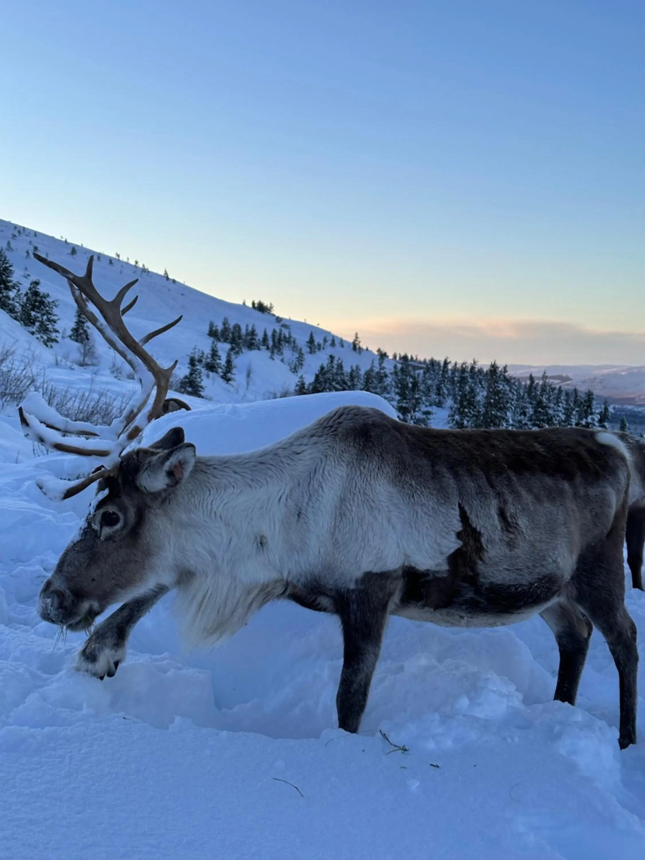 Ravenscraig Guest House