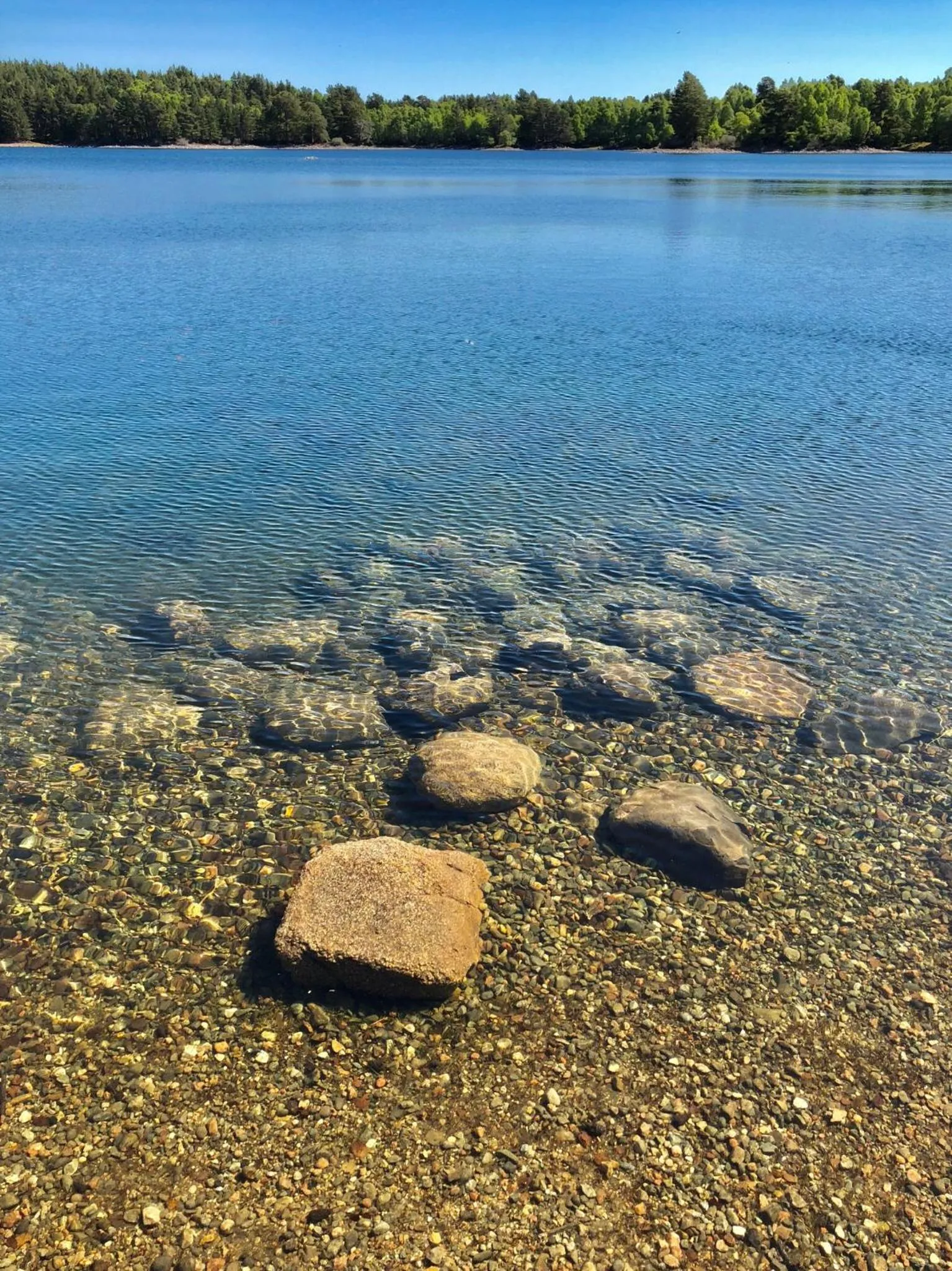 Ravenscraig Guest House