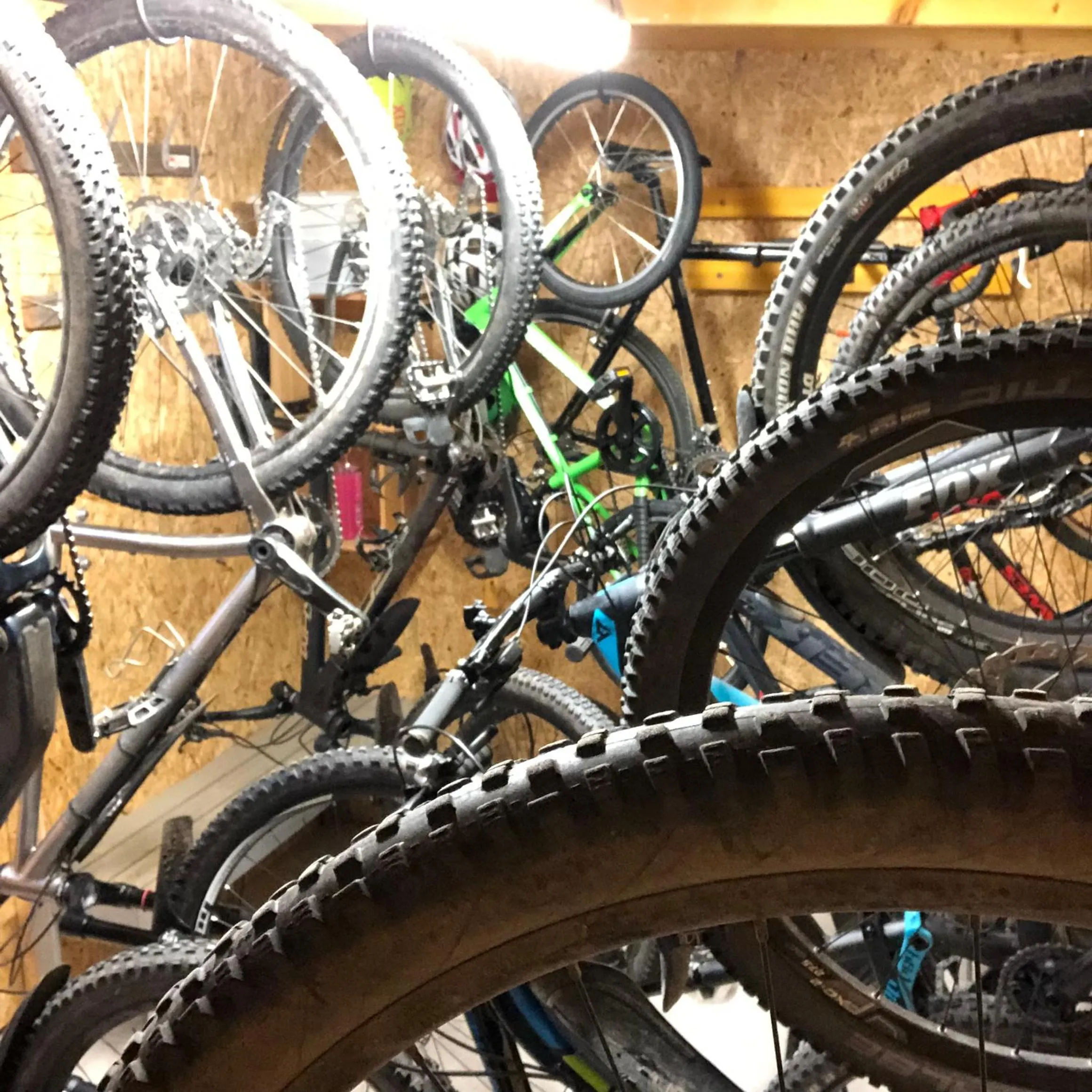 Activities in Ravenscraig Guest House