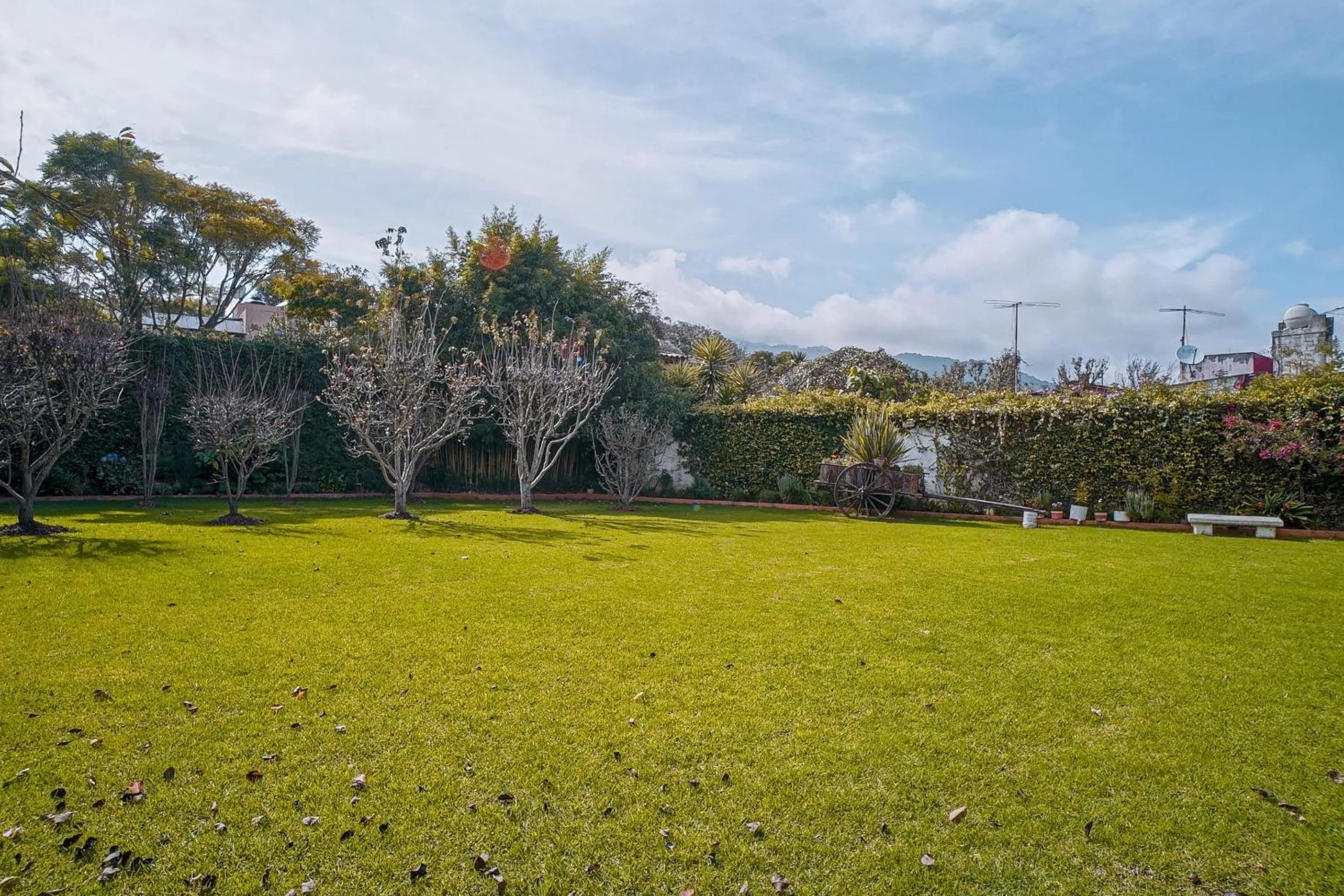 Garden in Hotel Brisas Express