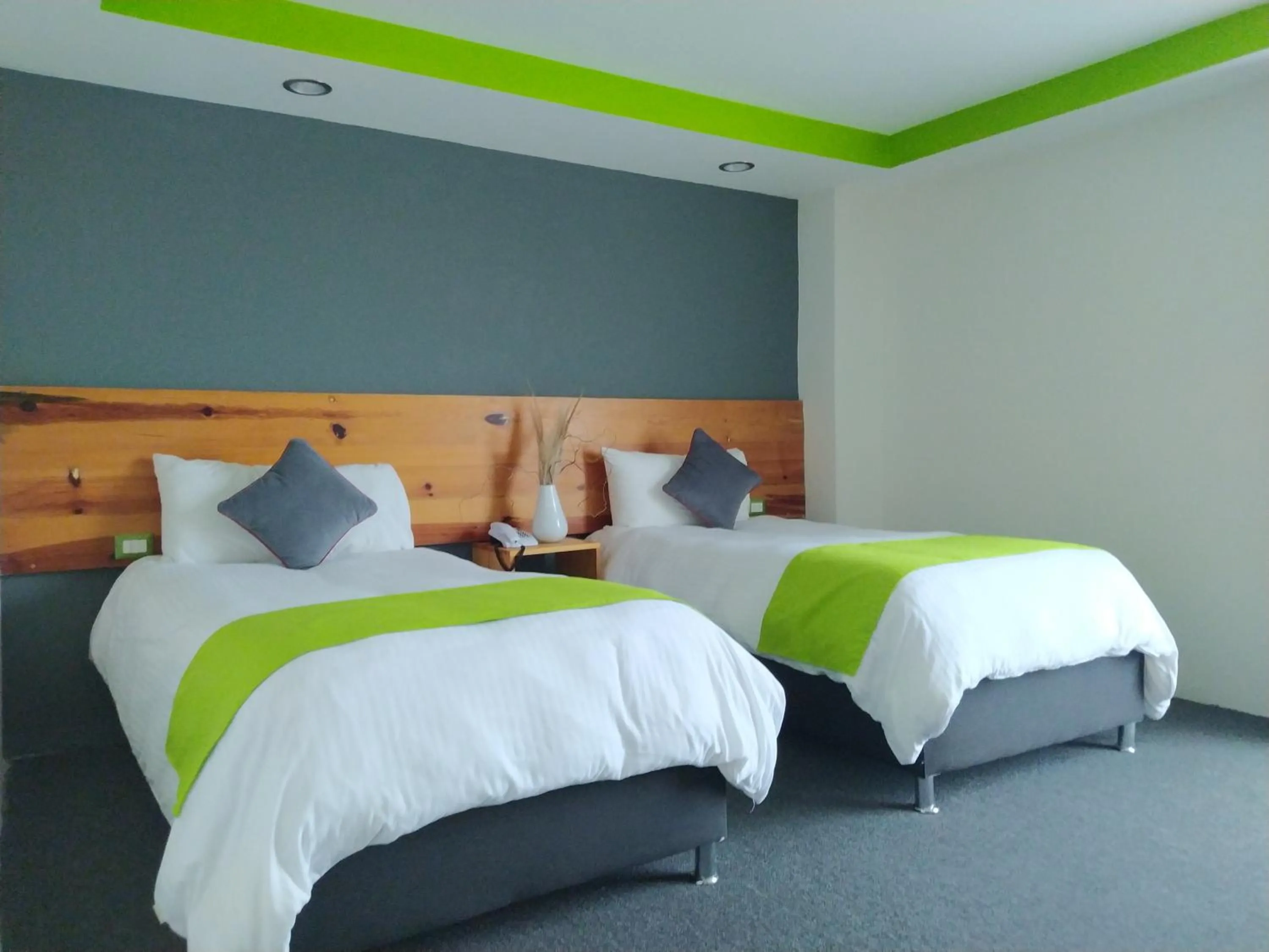 Standard Twin Room in Hotel Brisas Express
