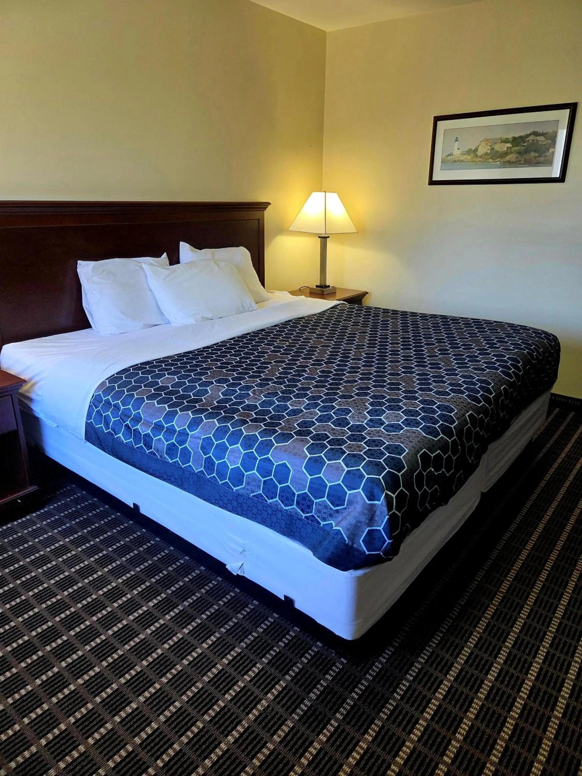 Bed in Ashford Motel