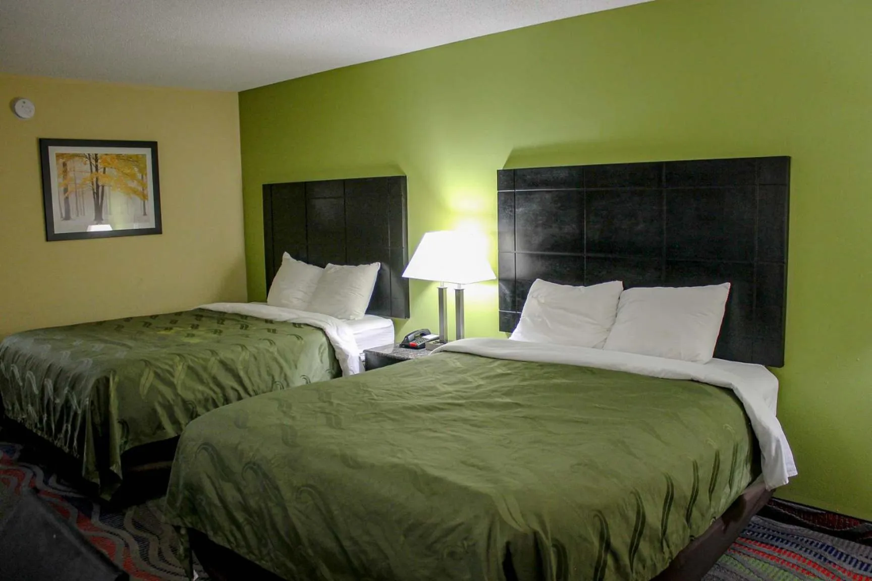 Bedroom, Bed in Motel 6 Knoxville, Tn - East