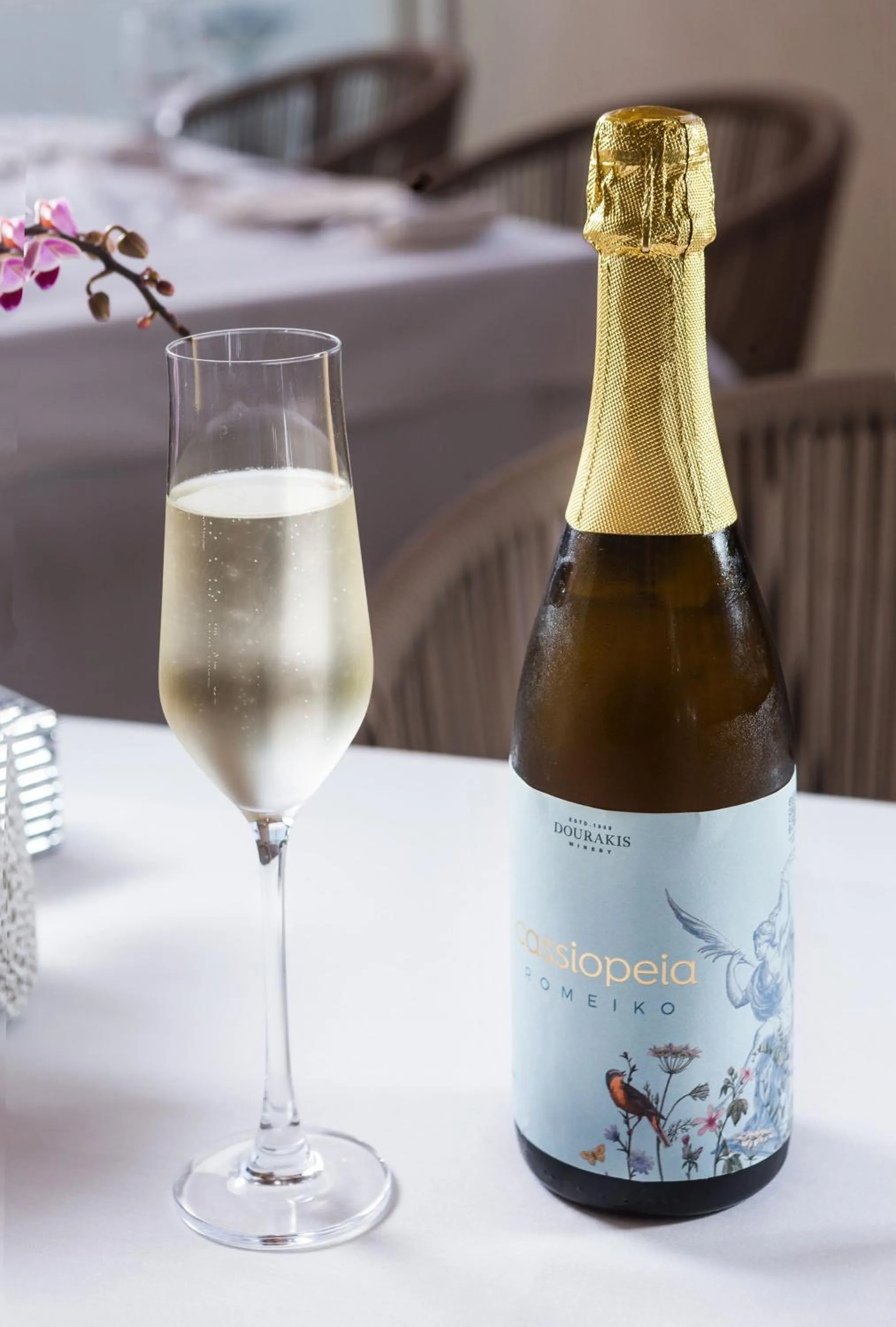 Restaurant/places to eat in Sun and Sea Plus Resort