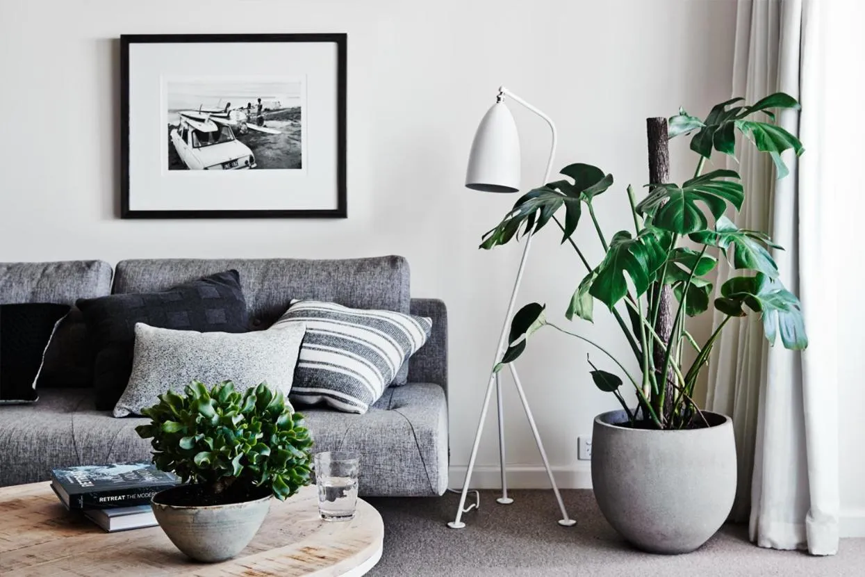 Living room in Cumberland Lorne Resort