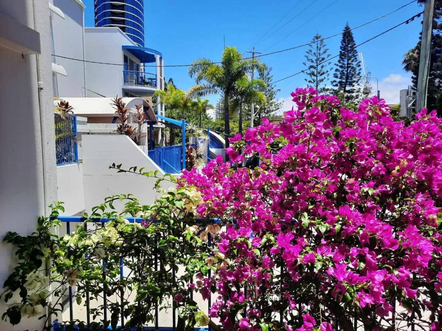 Natural landscape in Surfers Beach Resort One