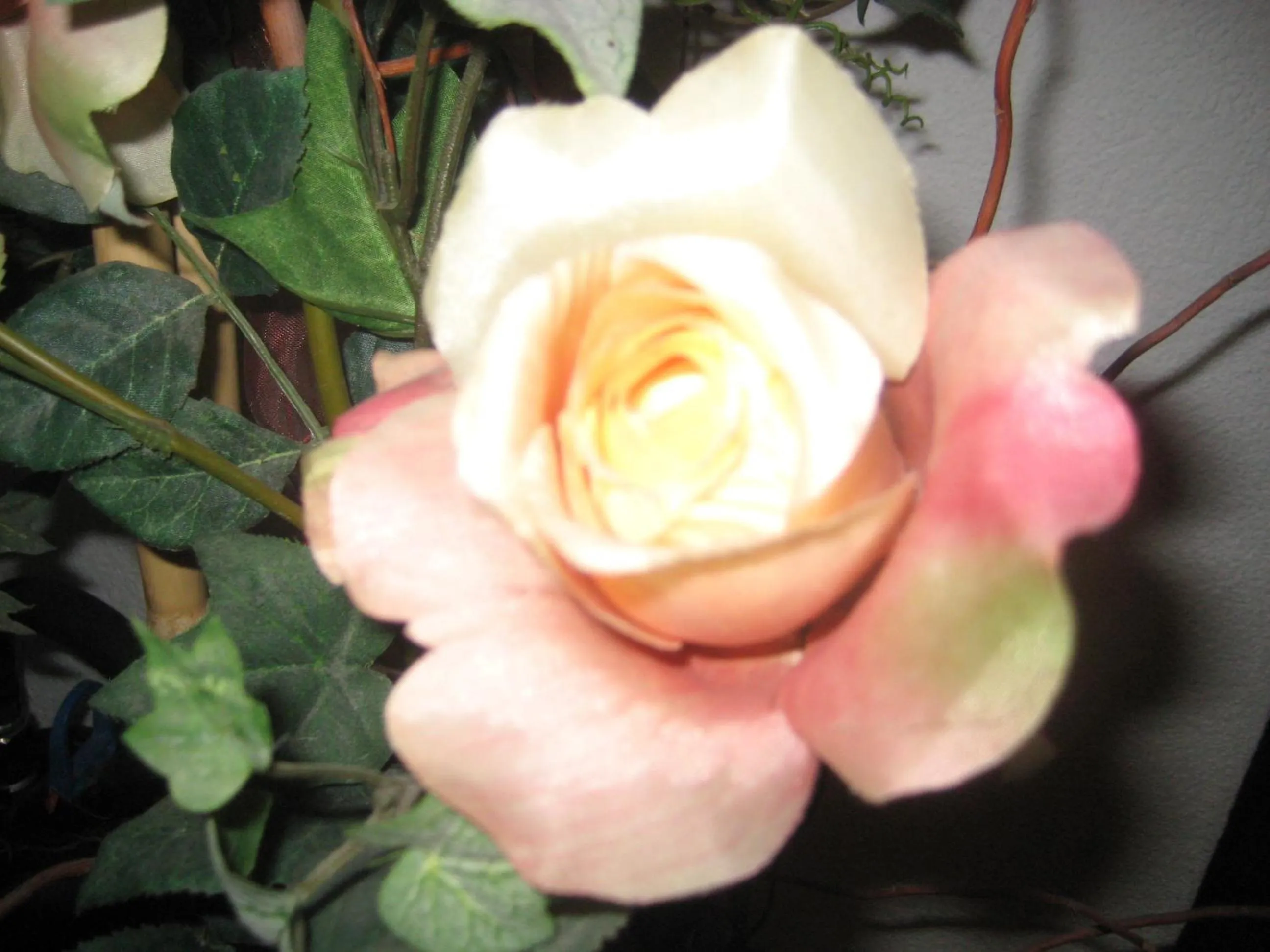 Other in Gampeler Hof