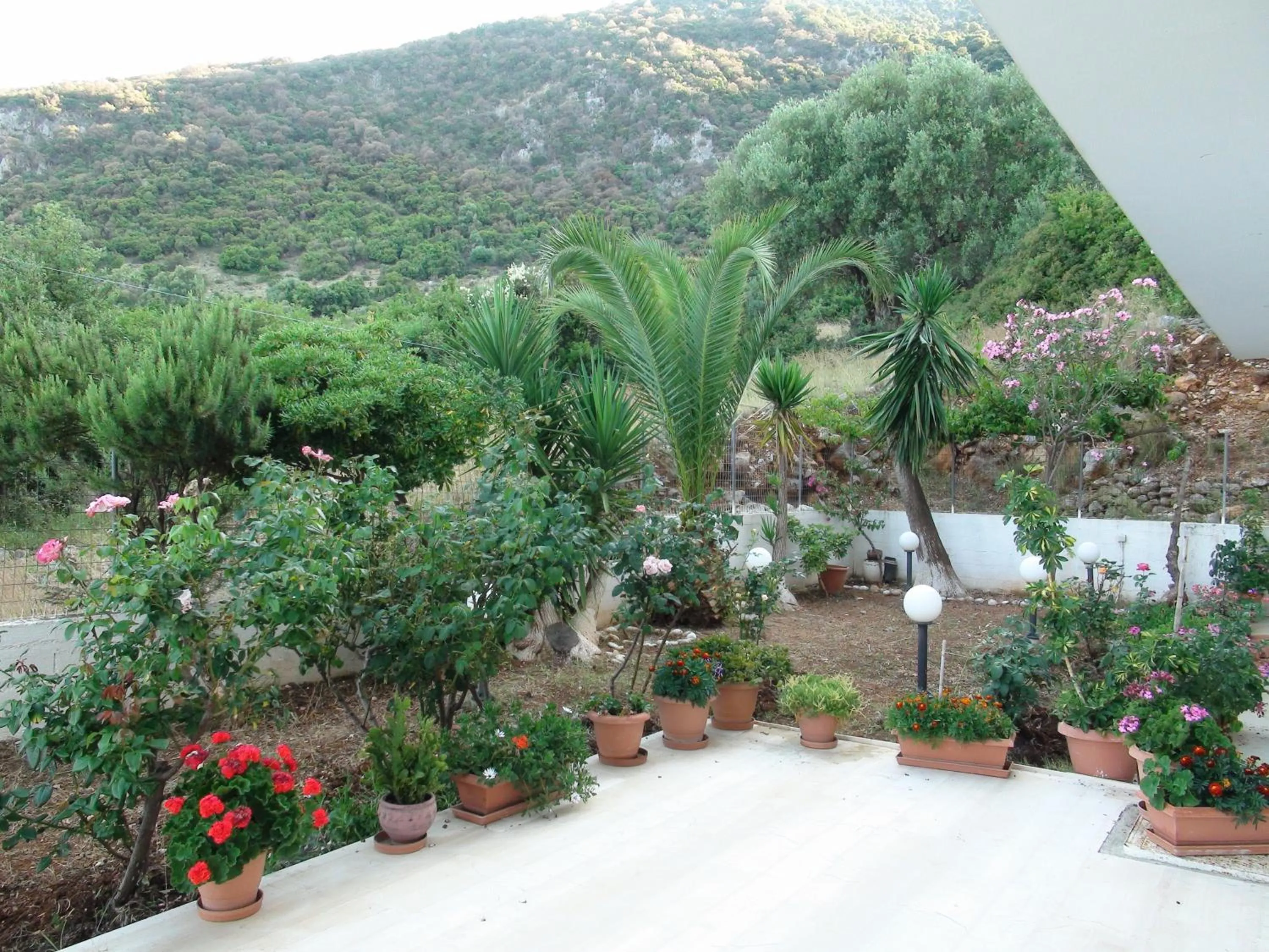 Day in Filoxenia Hotel & Apartments