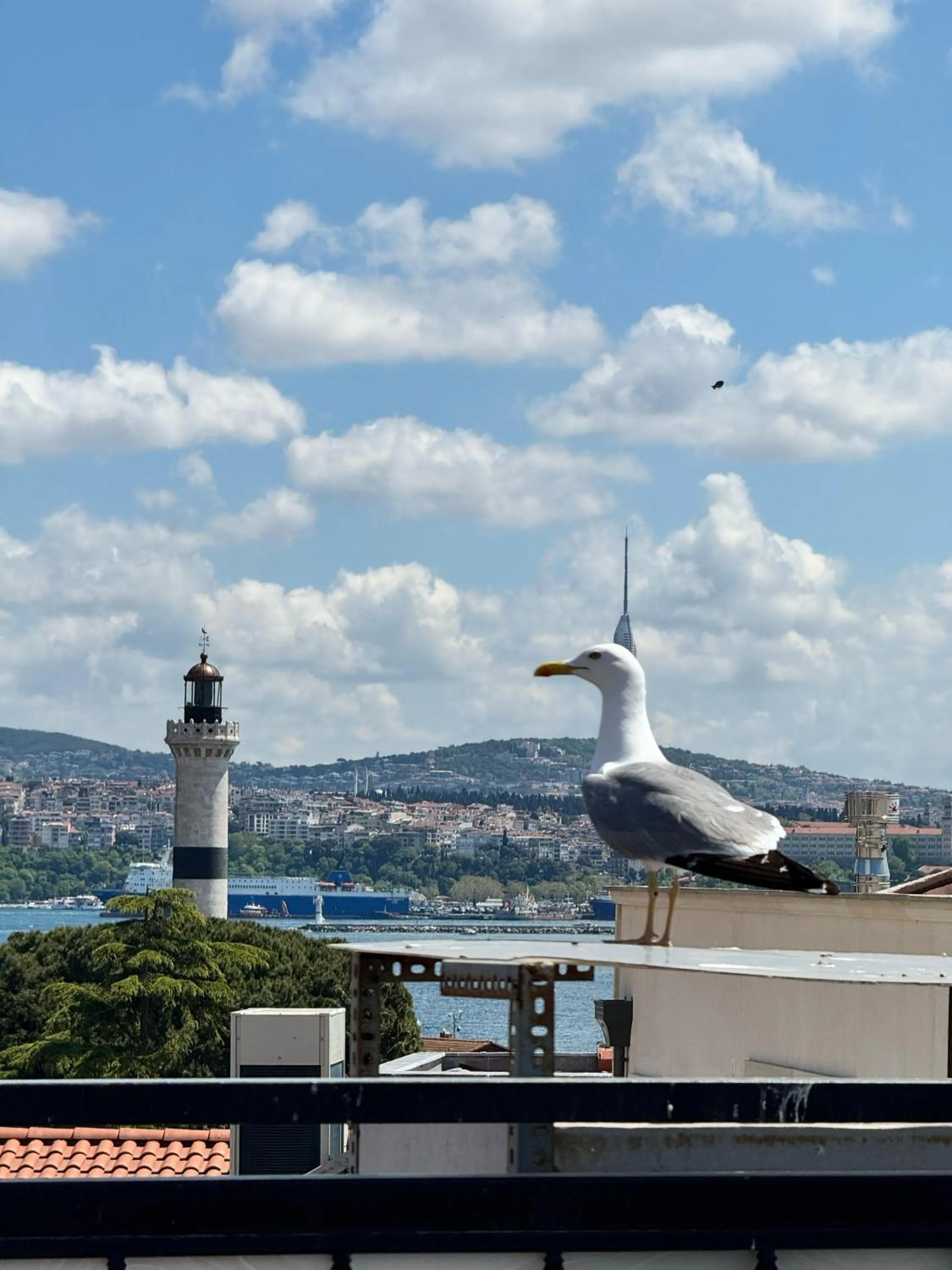 Balcony/Terrace in Hotel Ipekyolu