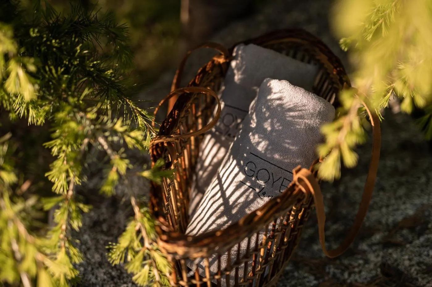 Spa and wellness centre/facilities in Landpalais Goyenhof - Deluxe Suites & Breakfast