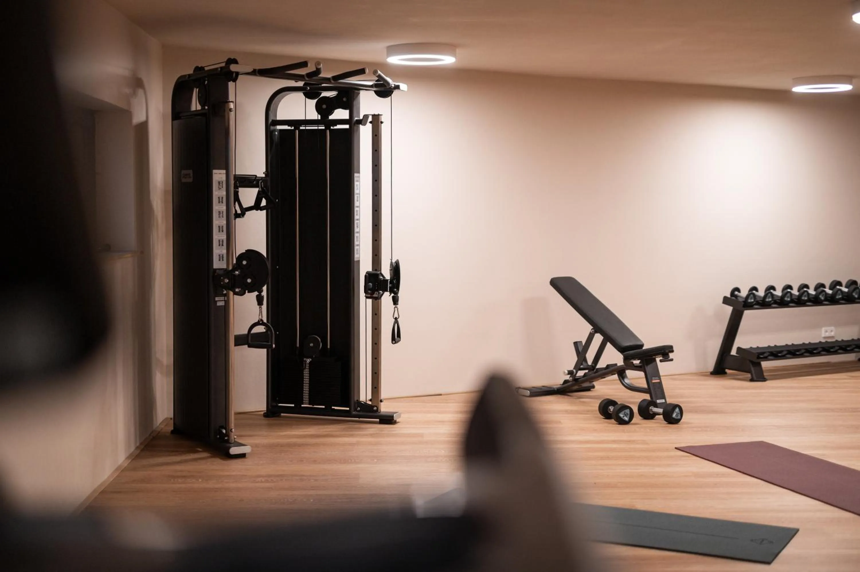 Fitness centre/facilities in Landpalais Goyenhof - Deluxe Suites & Breakfast