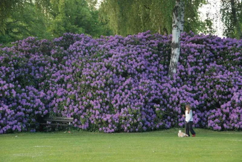 Day in Café Mandeltårtan B&B VillaFloraViola