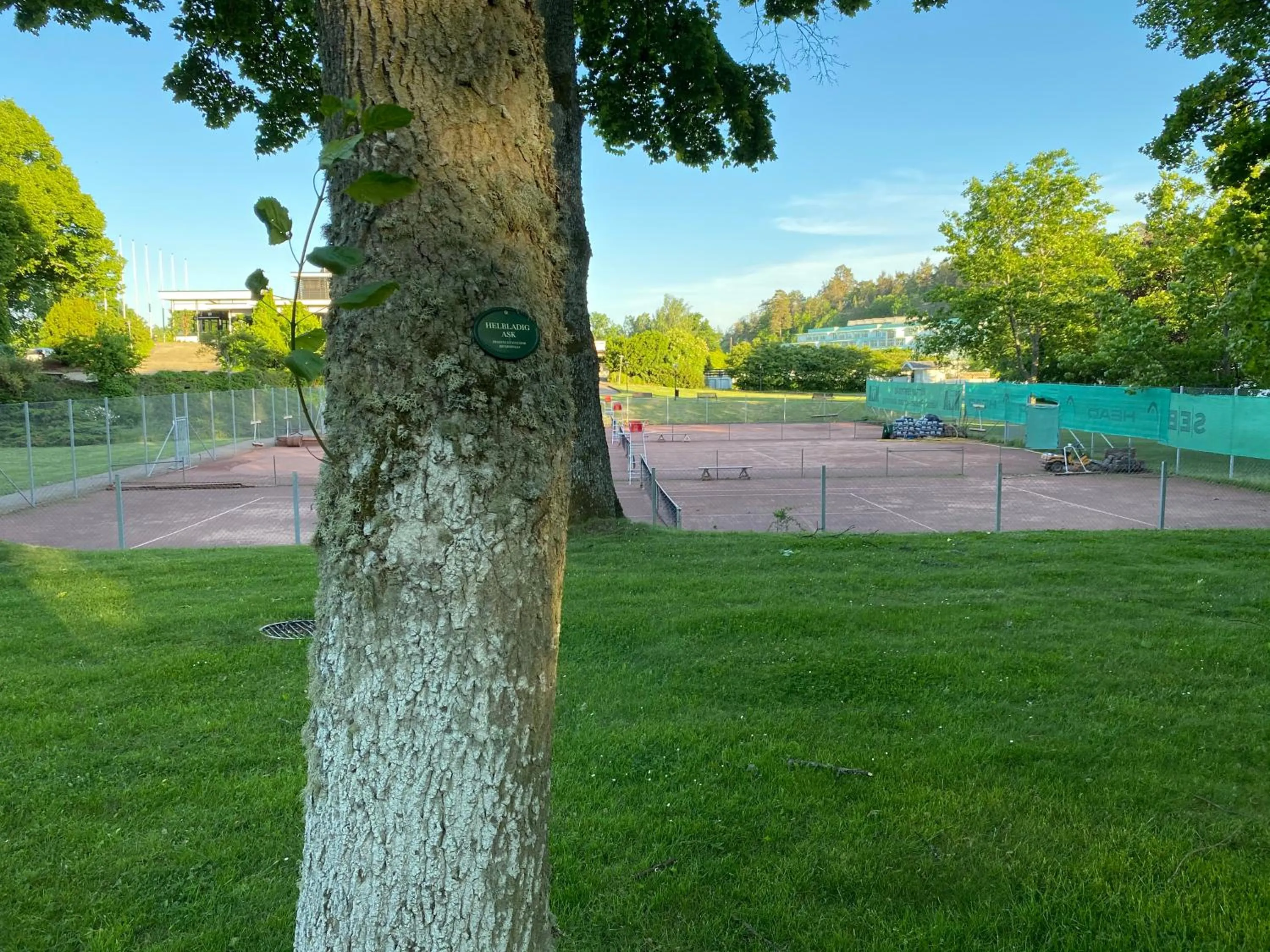 Café Mandeltårtan B&B VillaFloraViola