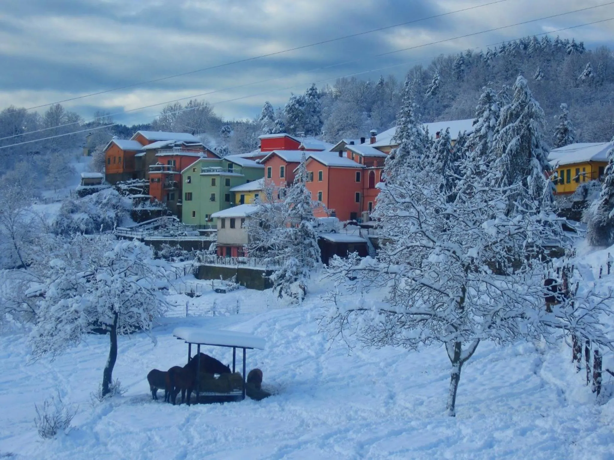 Neighbourhood in Albergo La Veranda