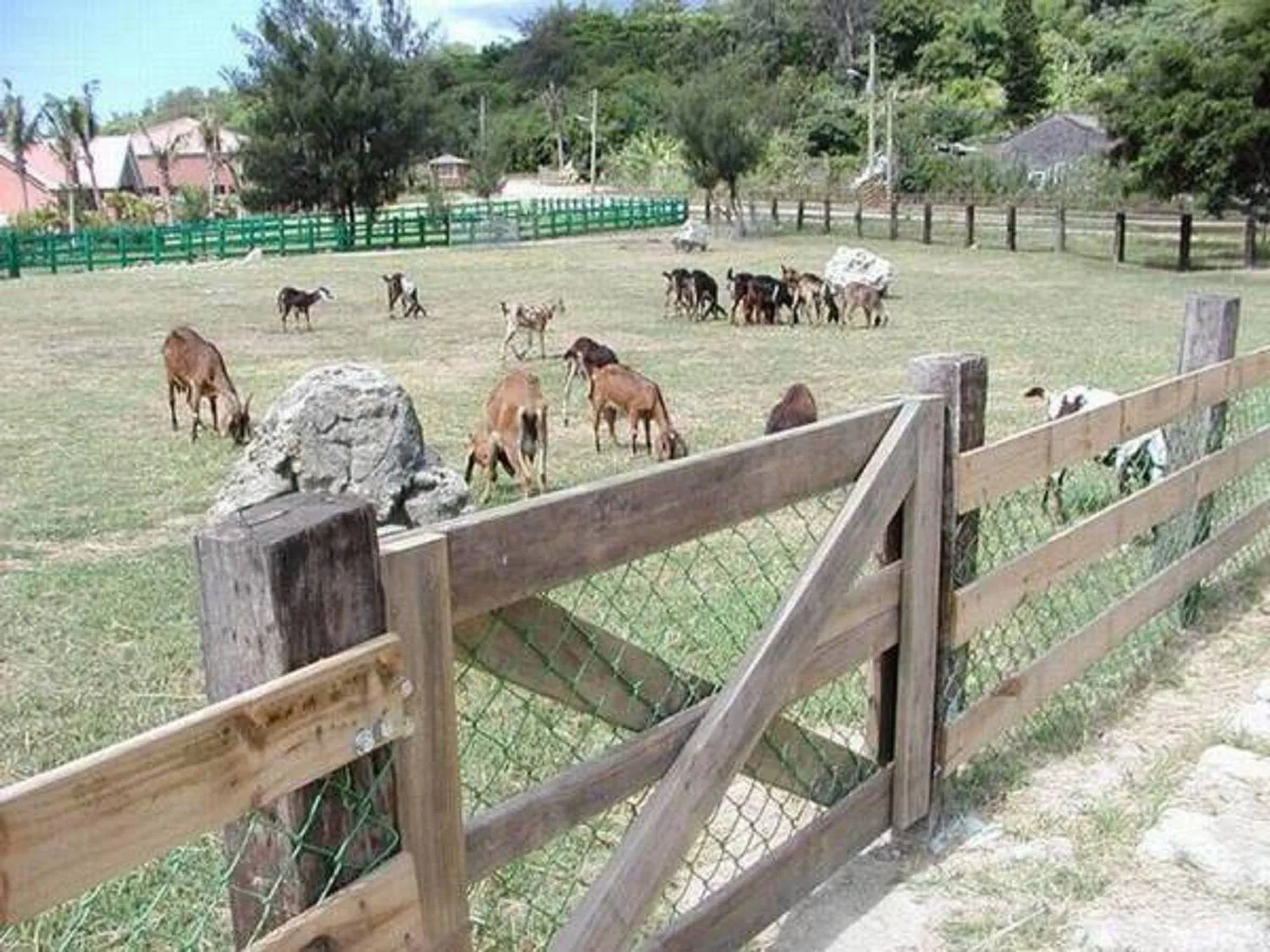 View (from property/room) in My Chateau Resort