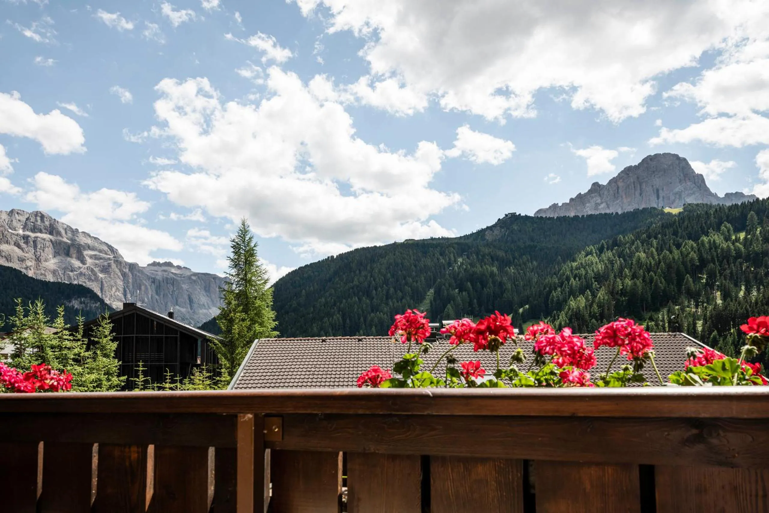 Natural landscape in Residence Cesa Rives