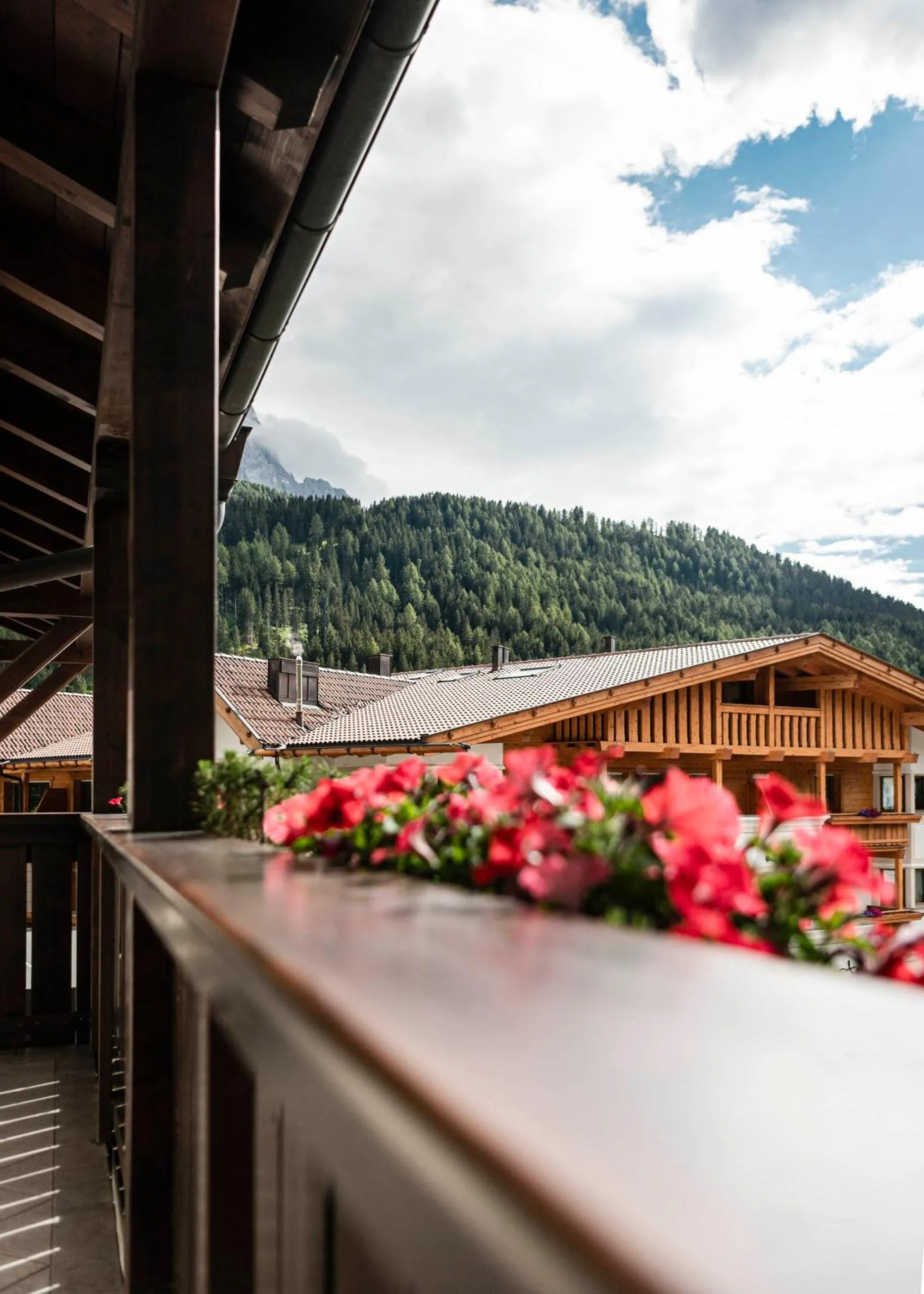 Summer in Residence Cesa Rives