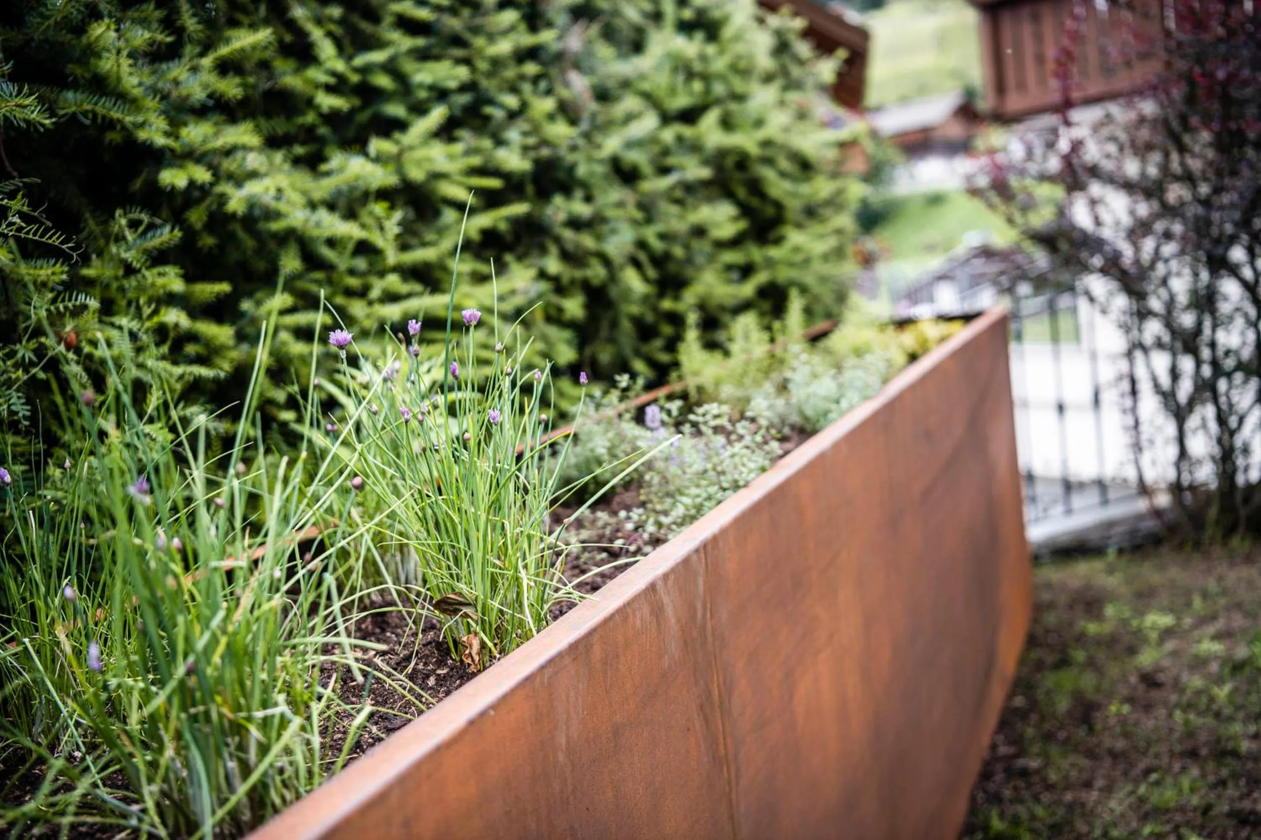 Natural landscape in Residence Cesa Rives