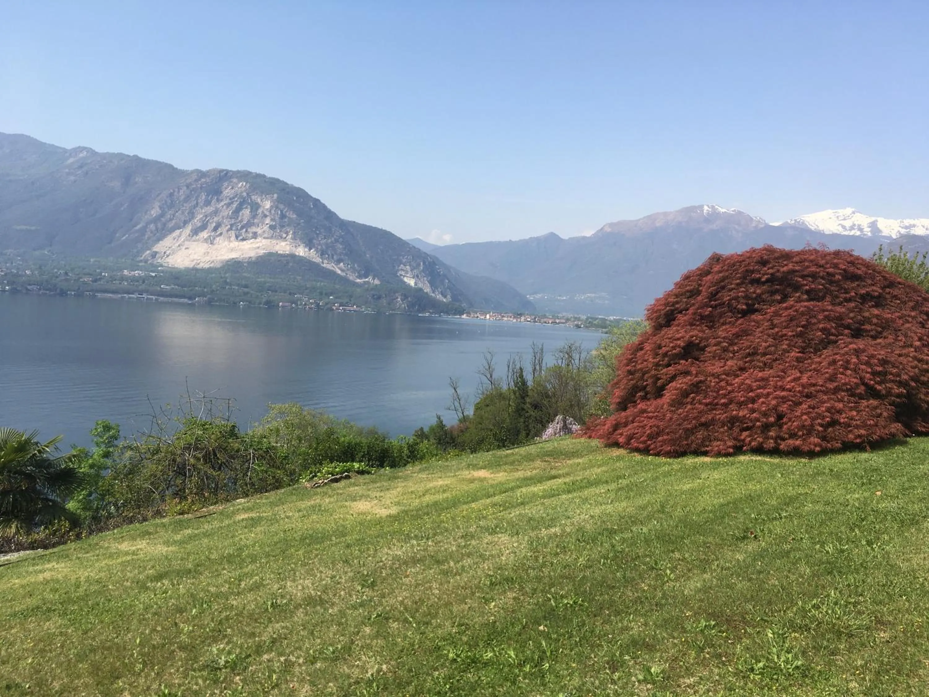 Garden in Suite Ananda