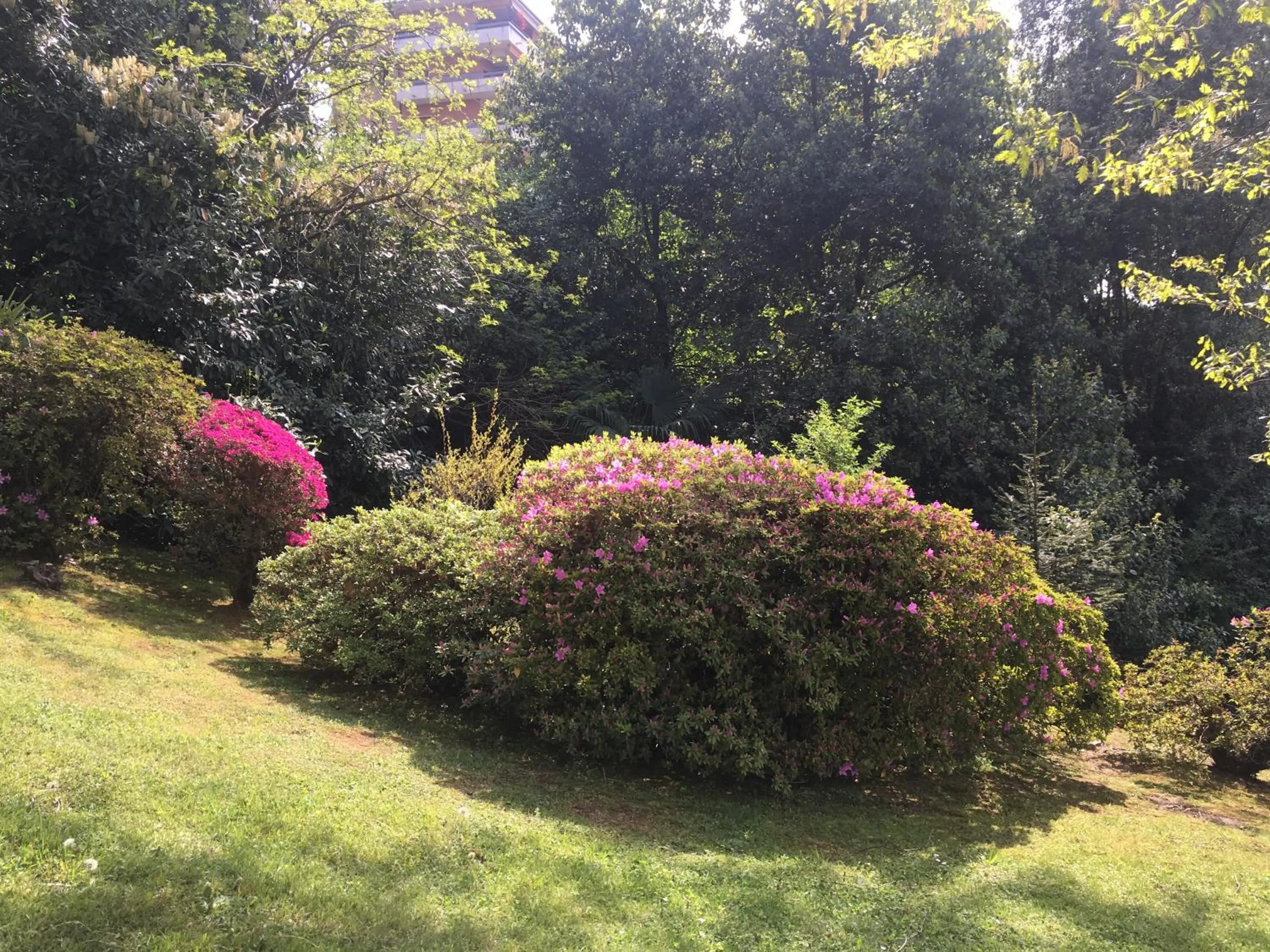 Garden in Suite Ananda