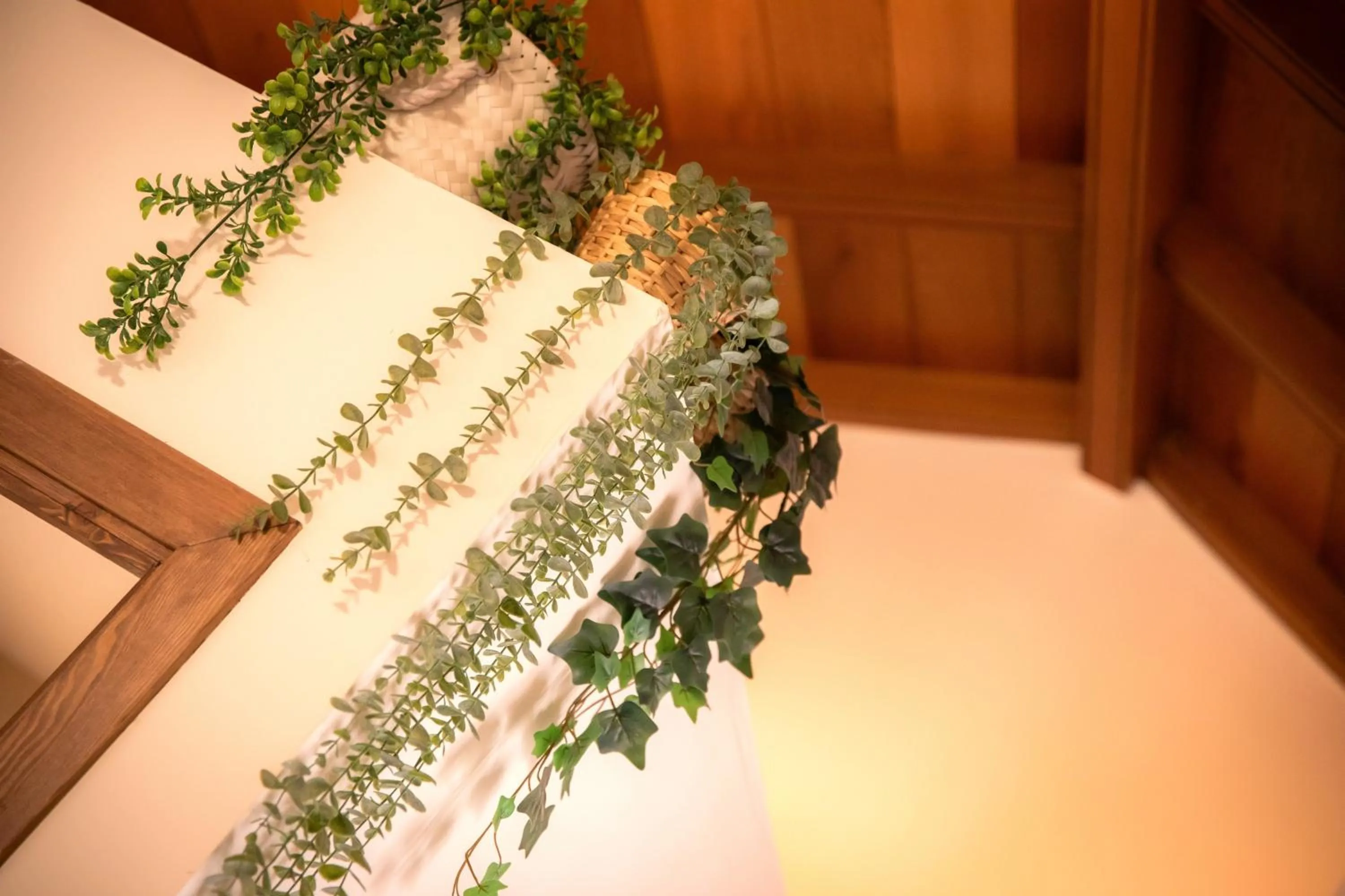 Apartamentos VITA CENTER