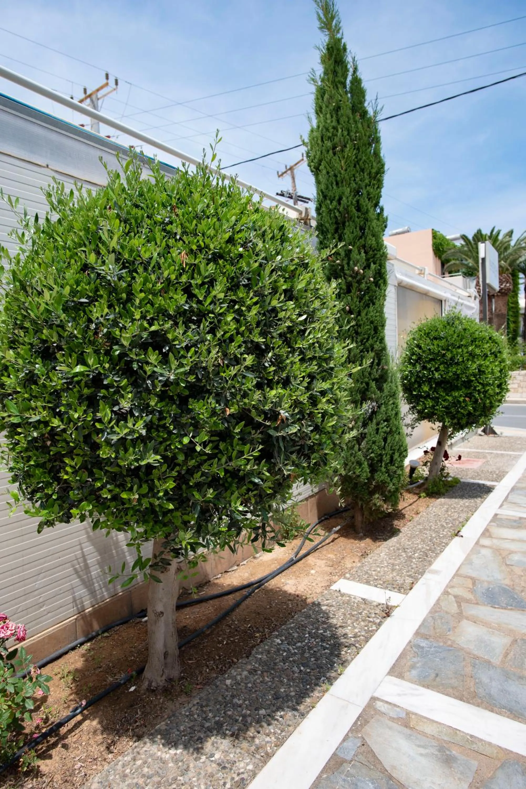 Matthias Hotel Apartments