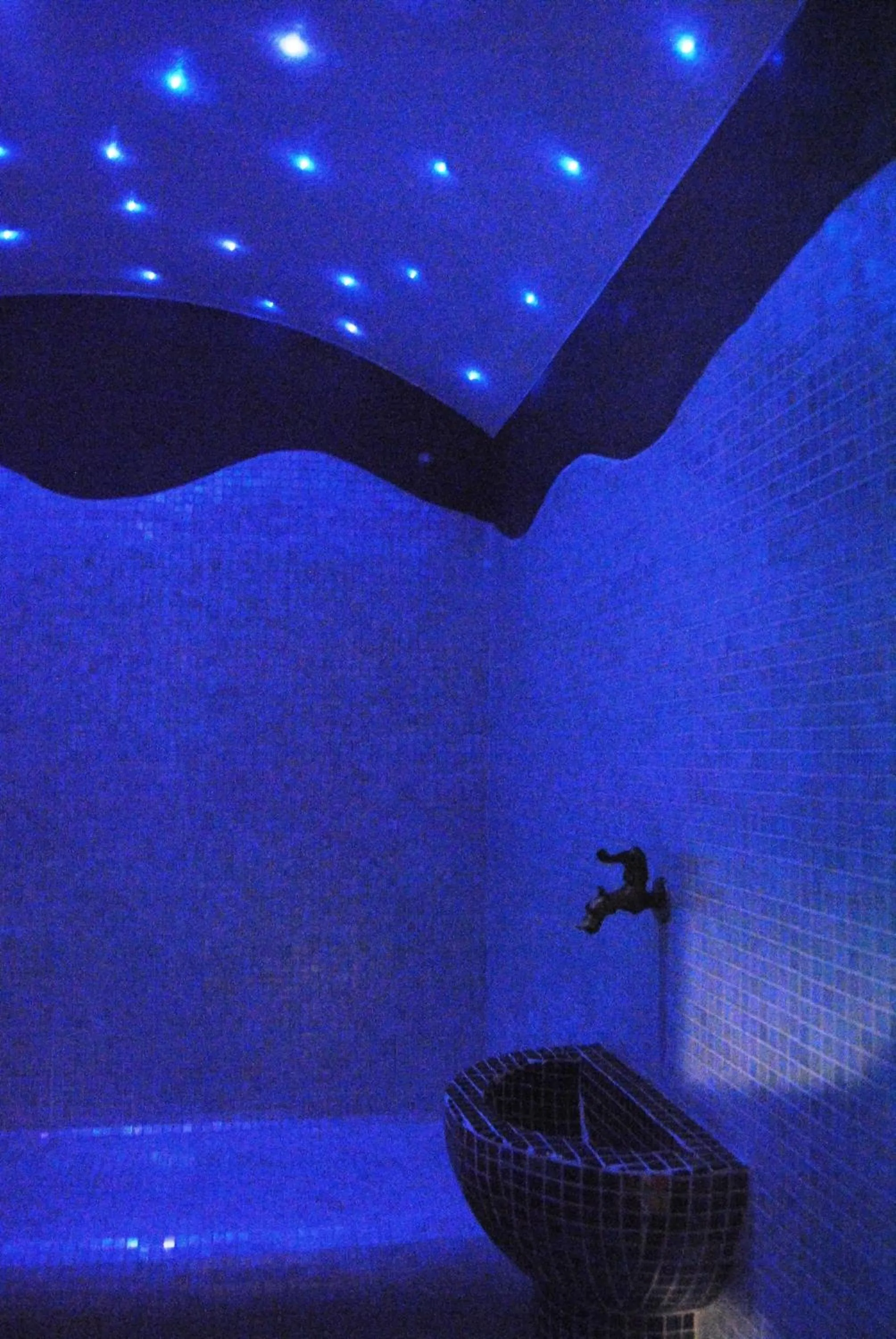 Steam room in Hotel La Perla