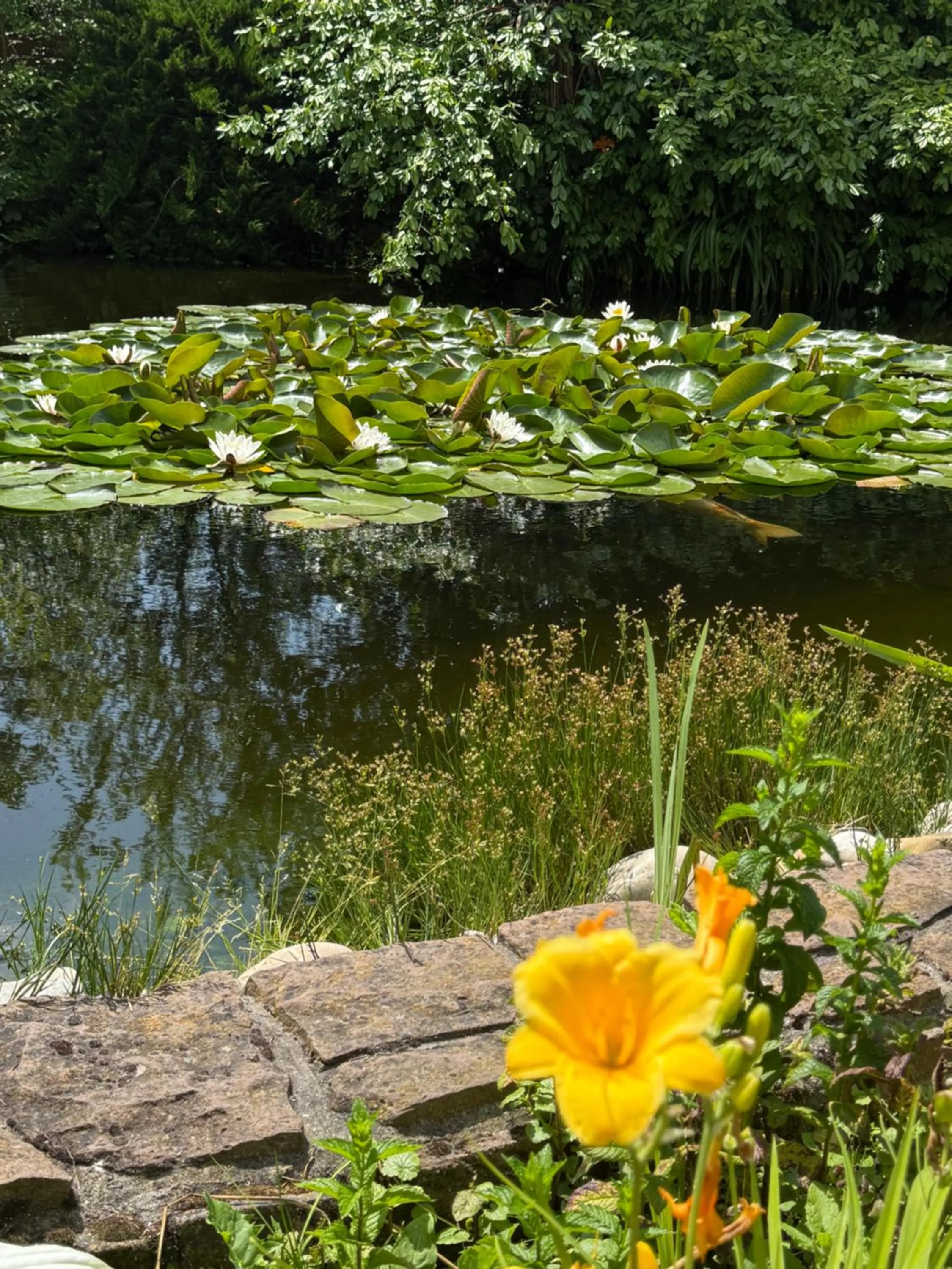 Property building in Winzergarten Hotel-Restaurant