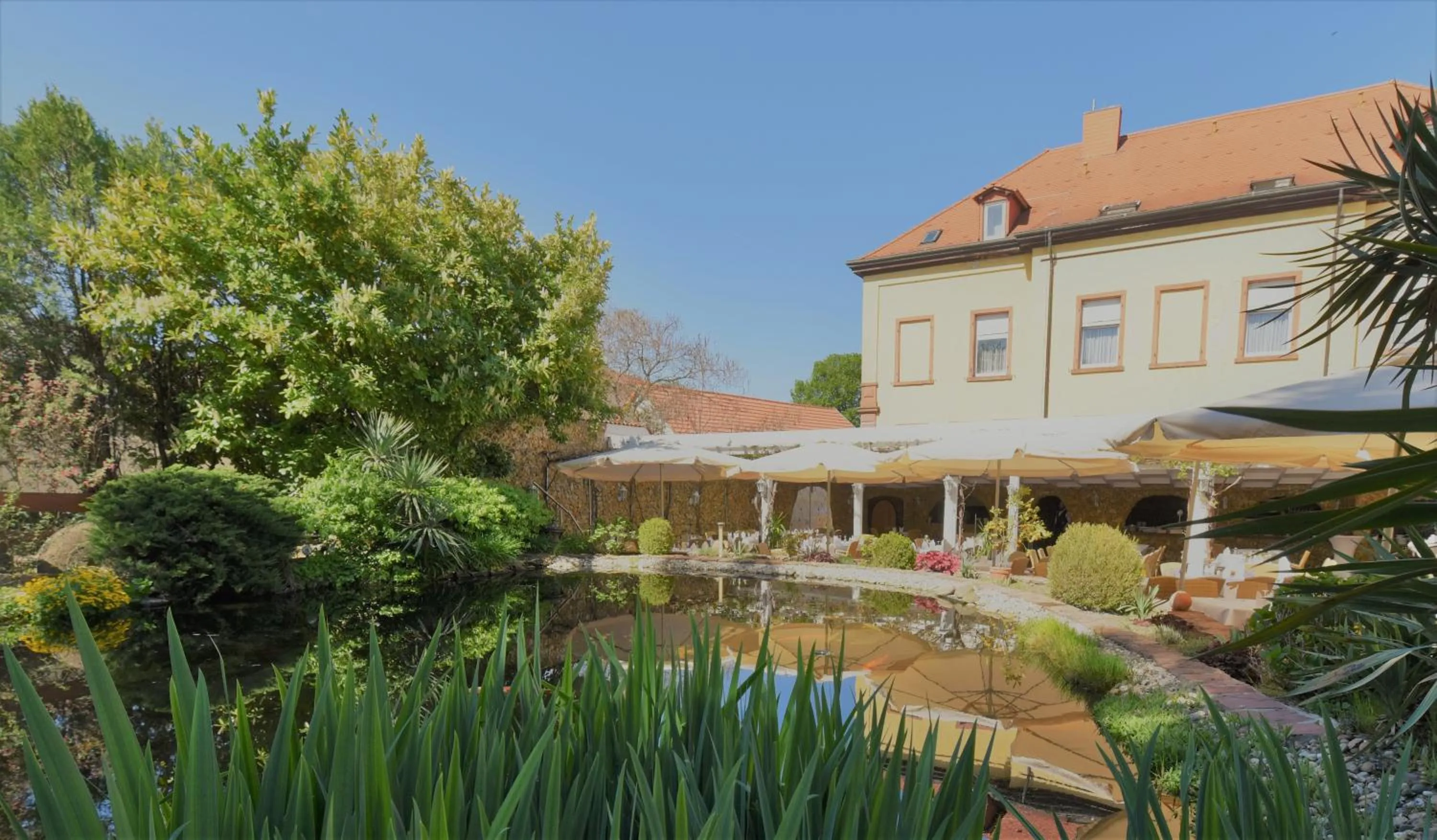 Restaurant/places to eat in Winzergarten Hotel-Restaurant