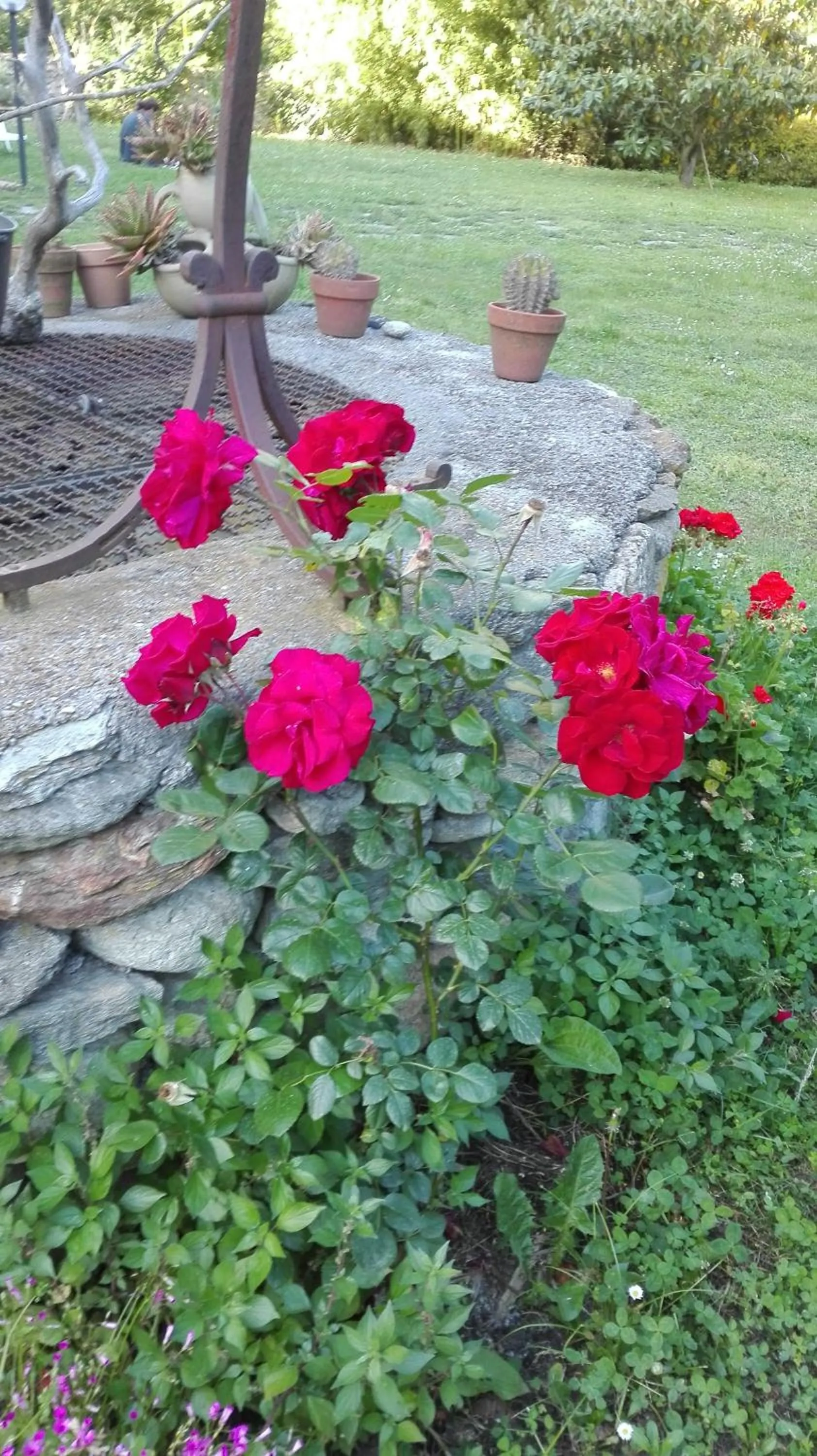 Garden in Il Pozzo e il Melograno