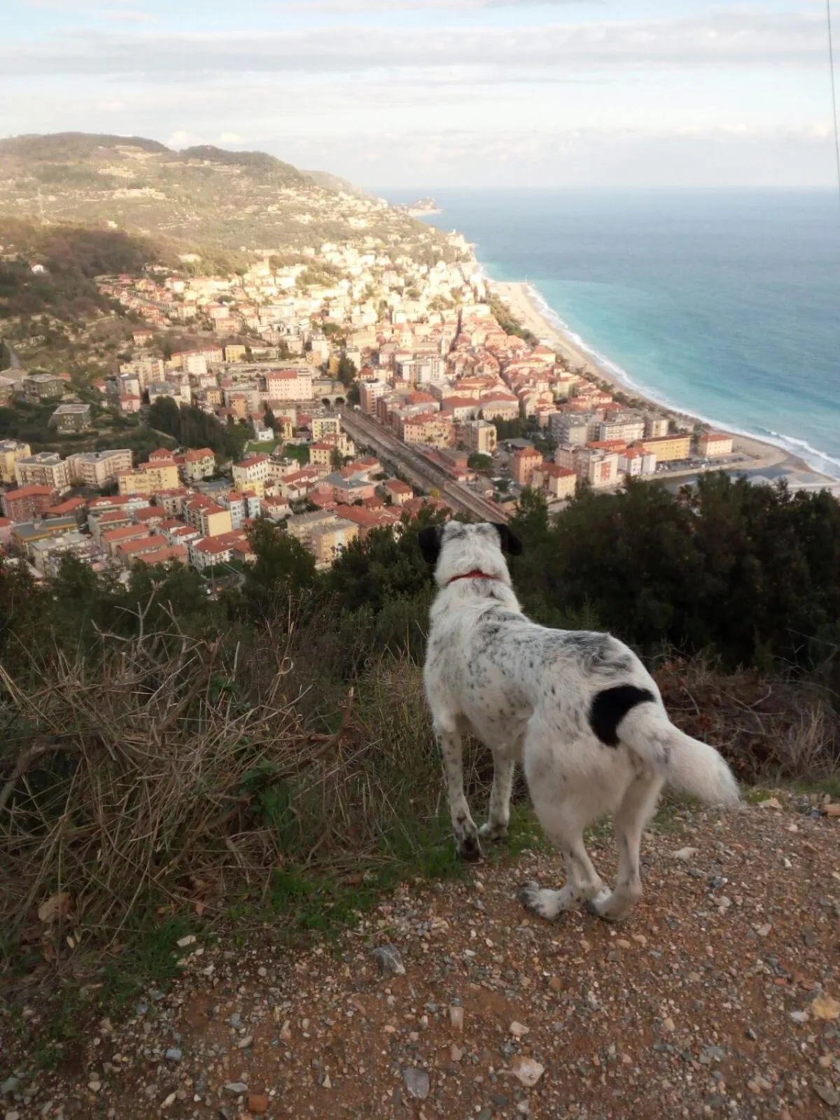 Nearby landmark in Il Pozzo e il Melograno